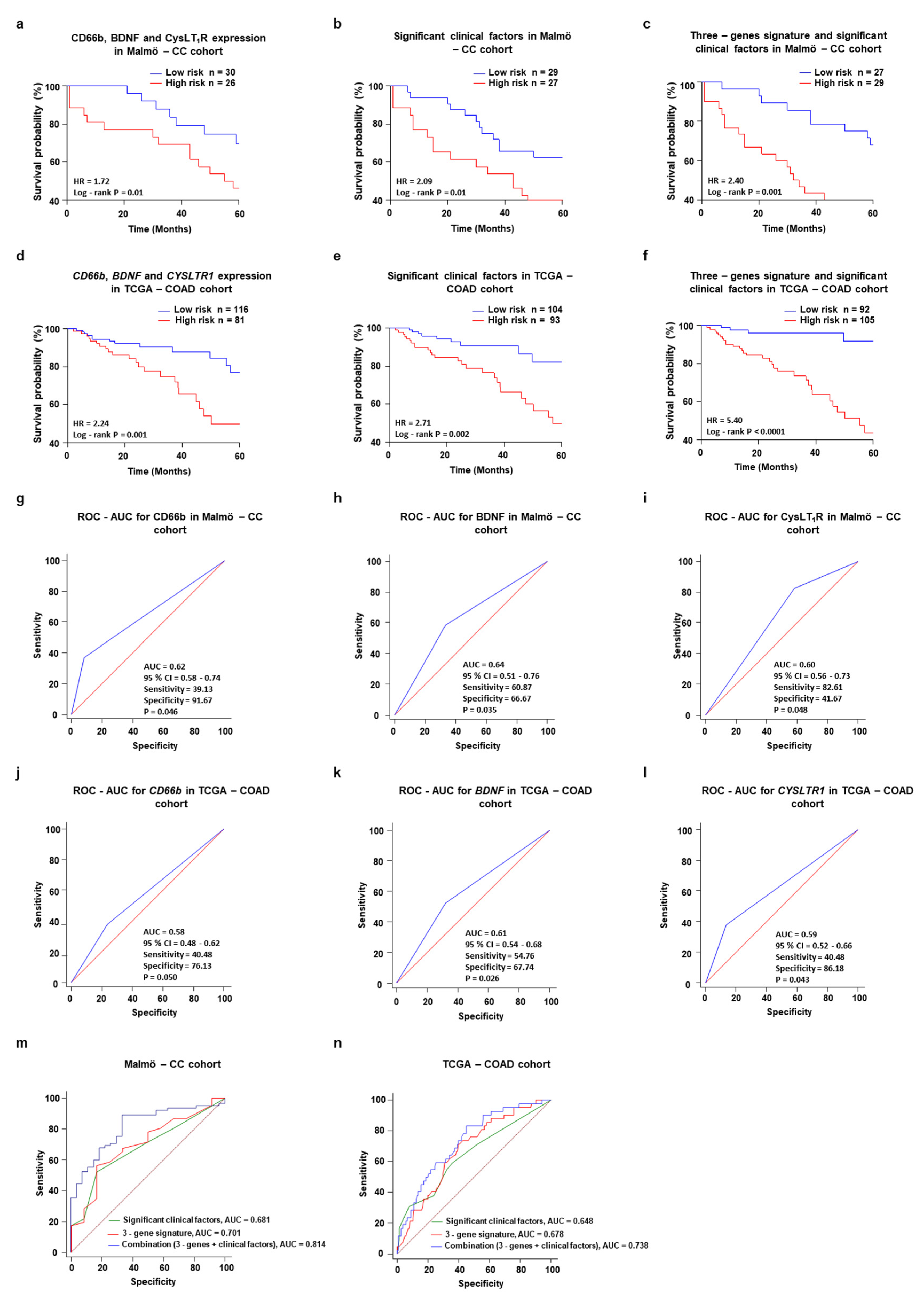 Cancers 13 05520 g005