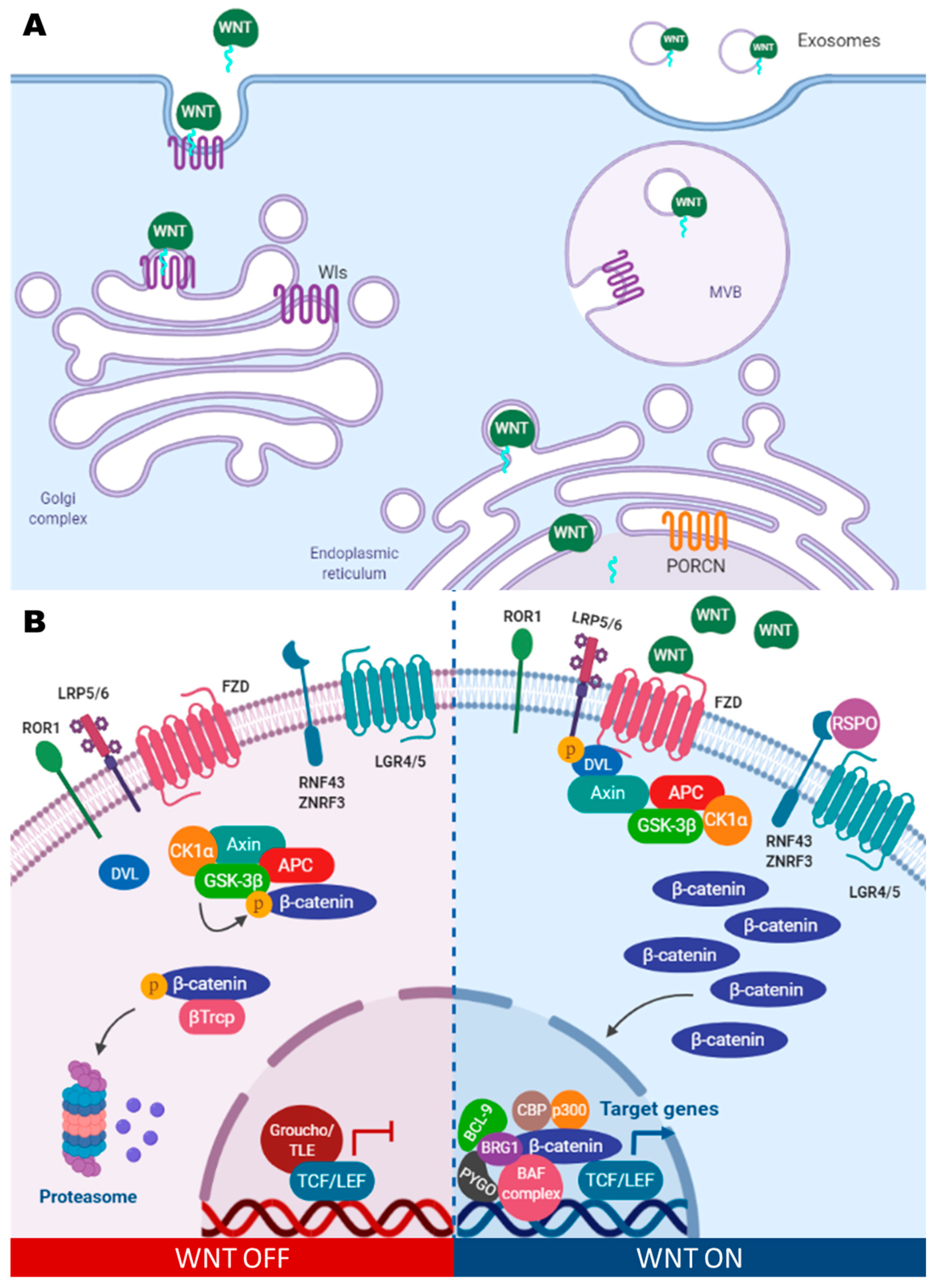 Cancers 13 05521 g001