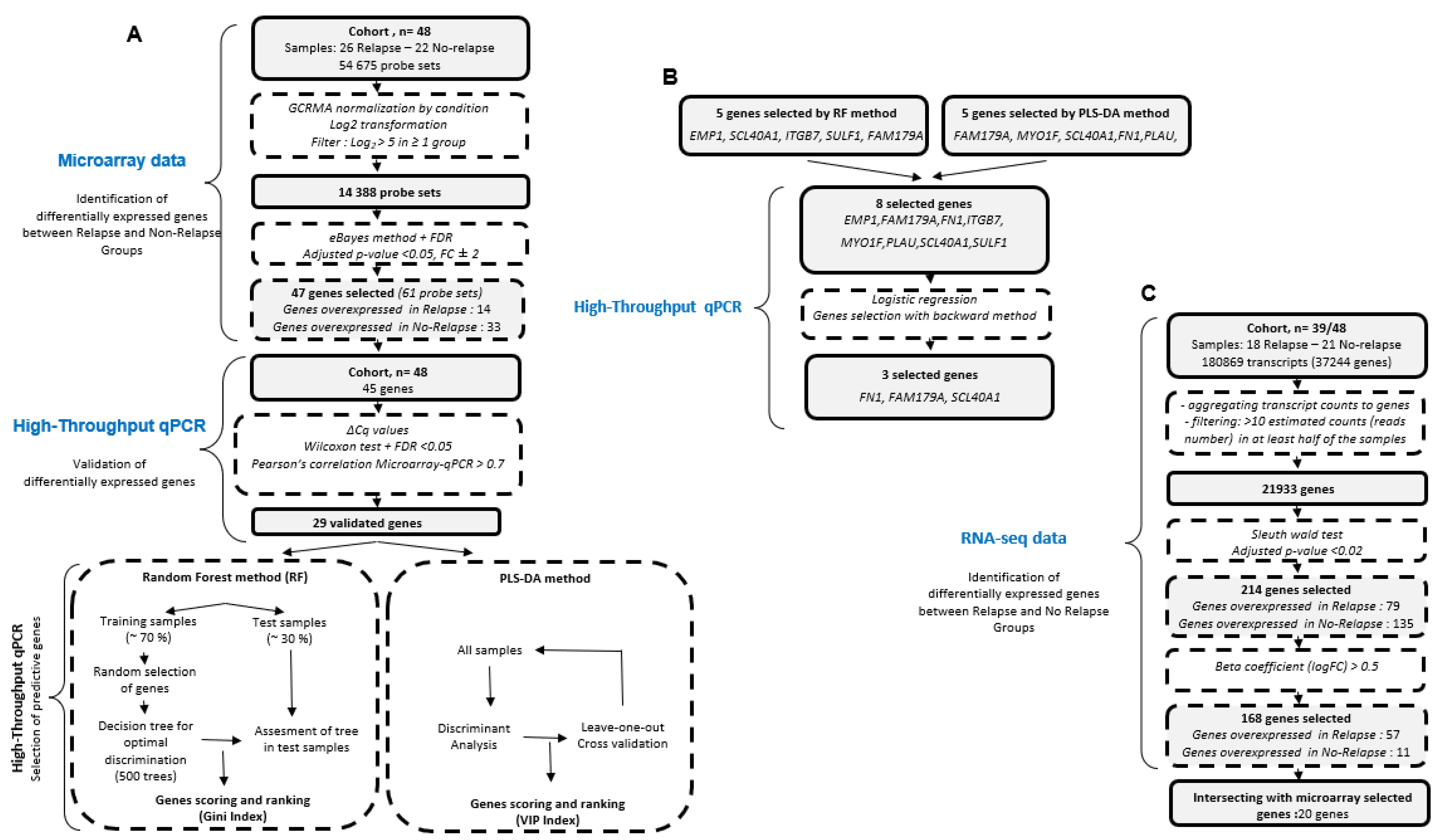 Cancers 13 05523 g001