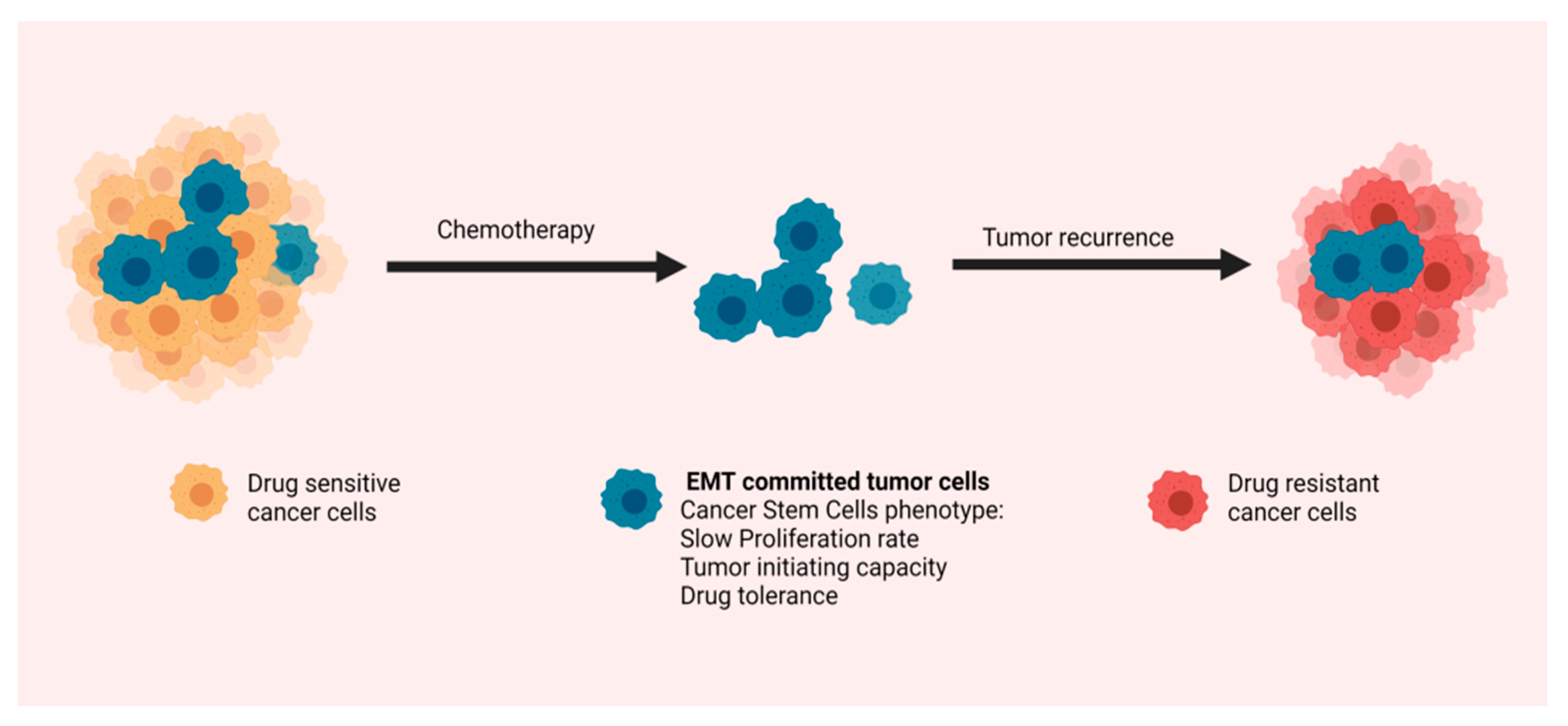 Cancers 13 05532 g003