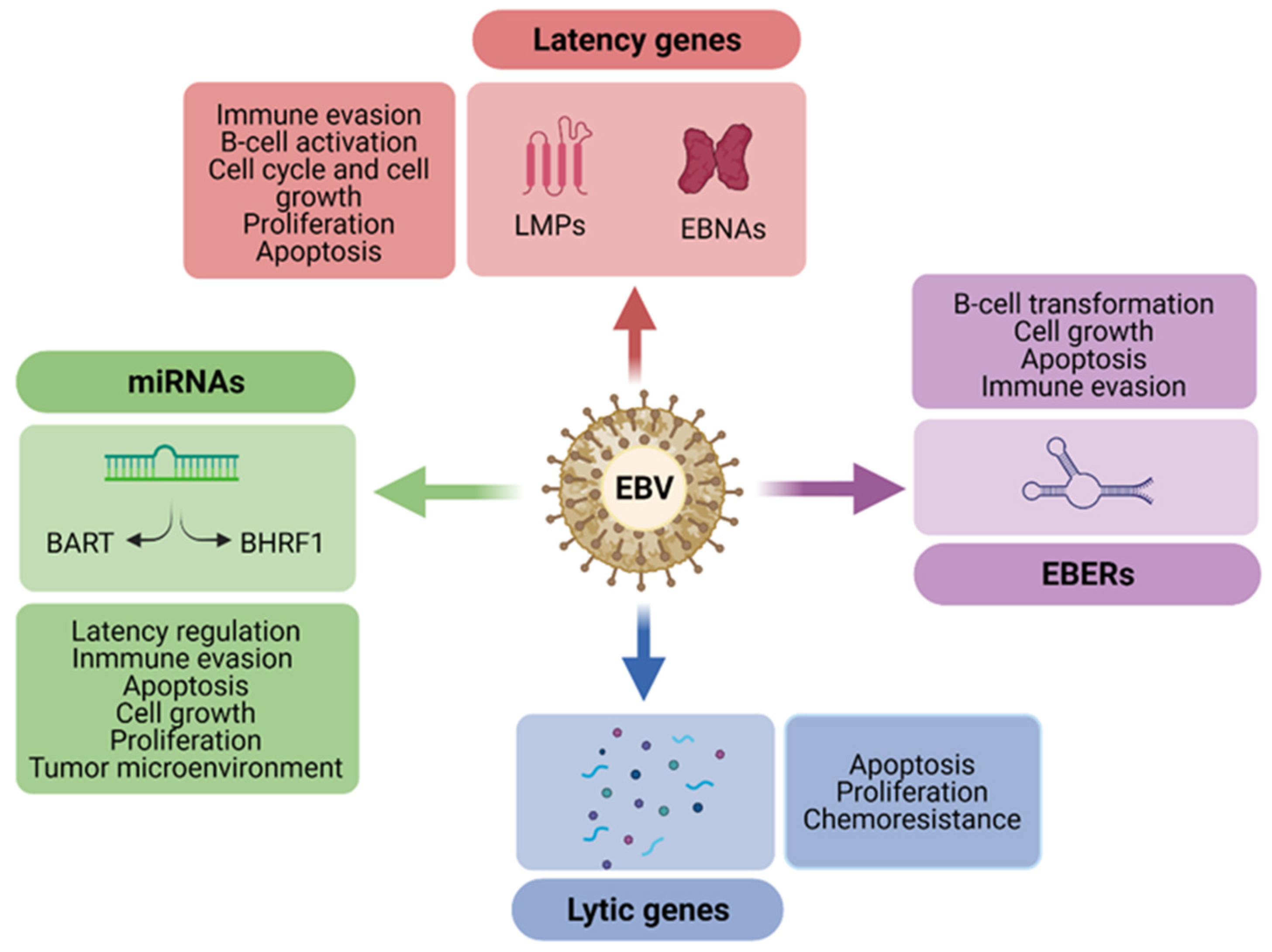 Cancers 13 05534 g002