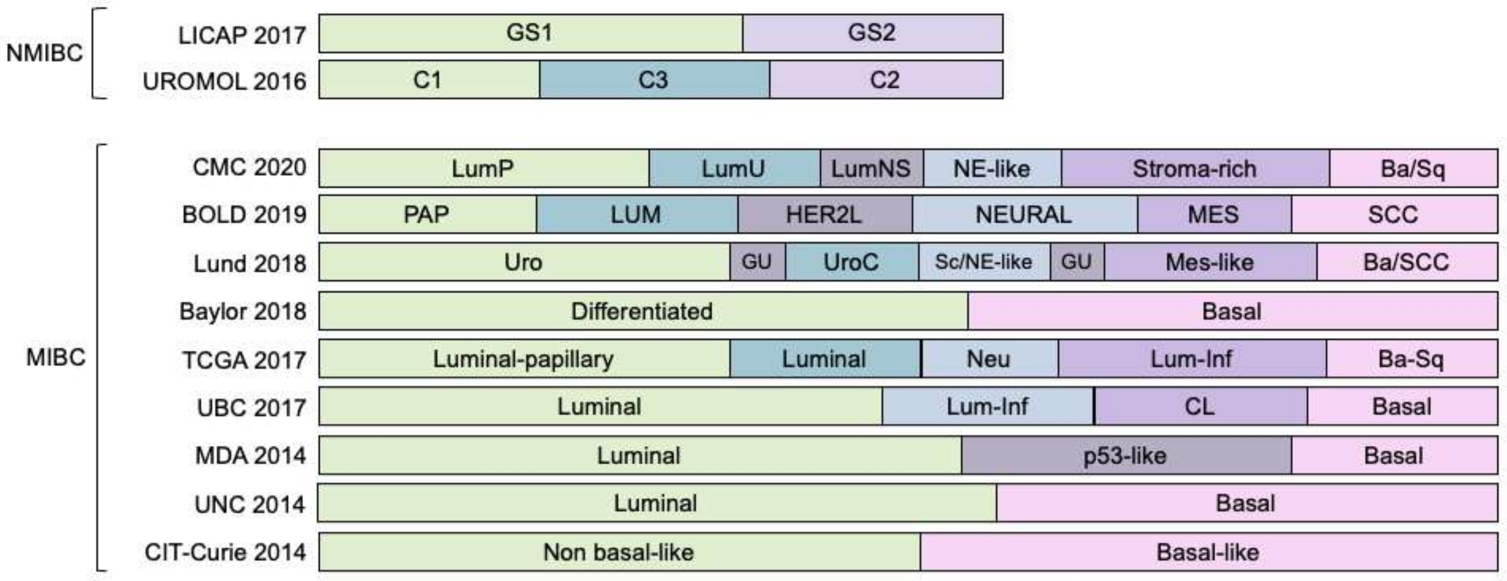 Cancers 13 05537 g004