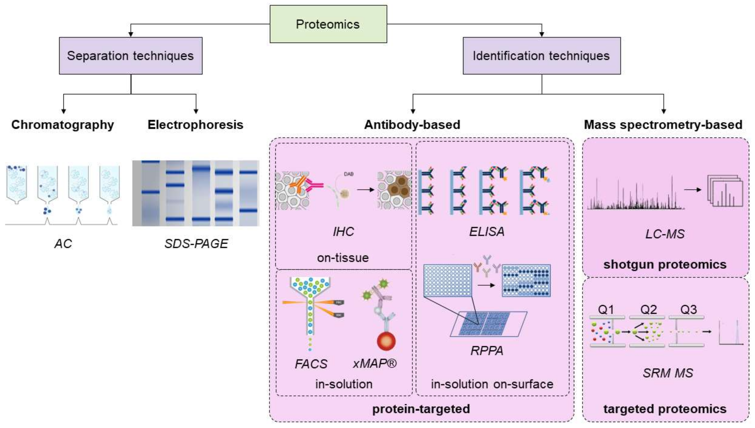 Cancers 13 05537 g005