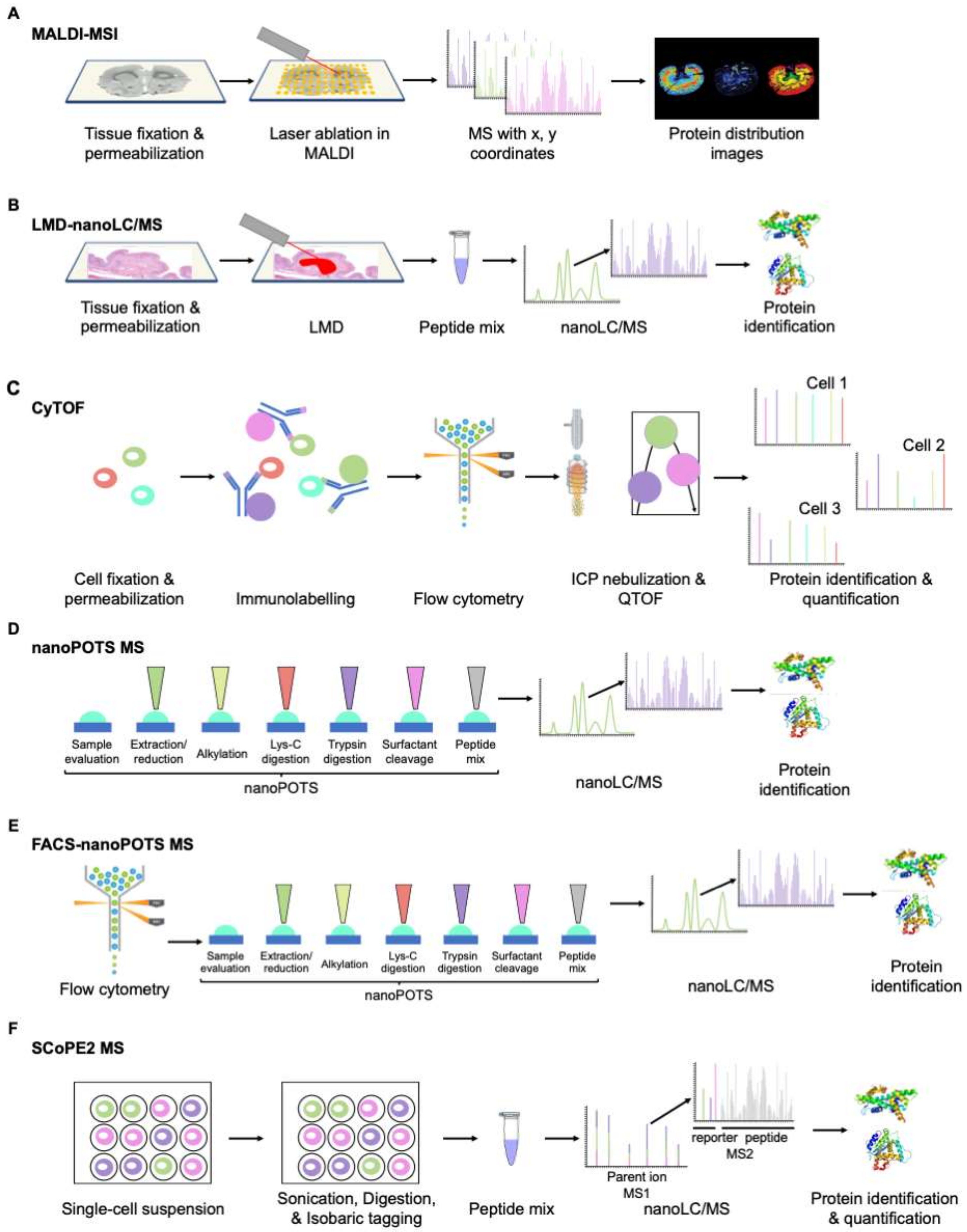 Cancers 13 05537 g006