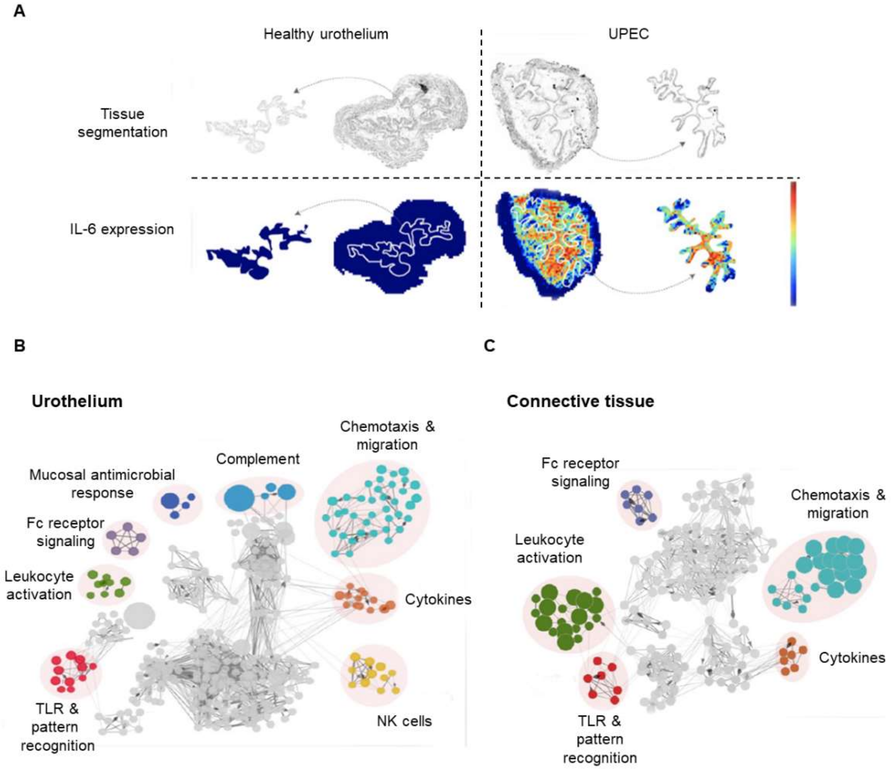 Cancers 13 05537 g009