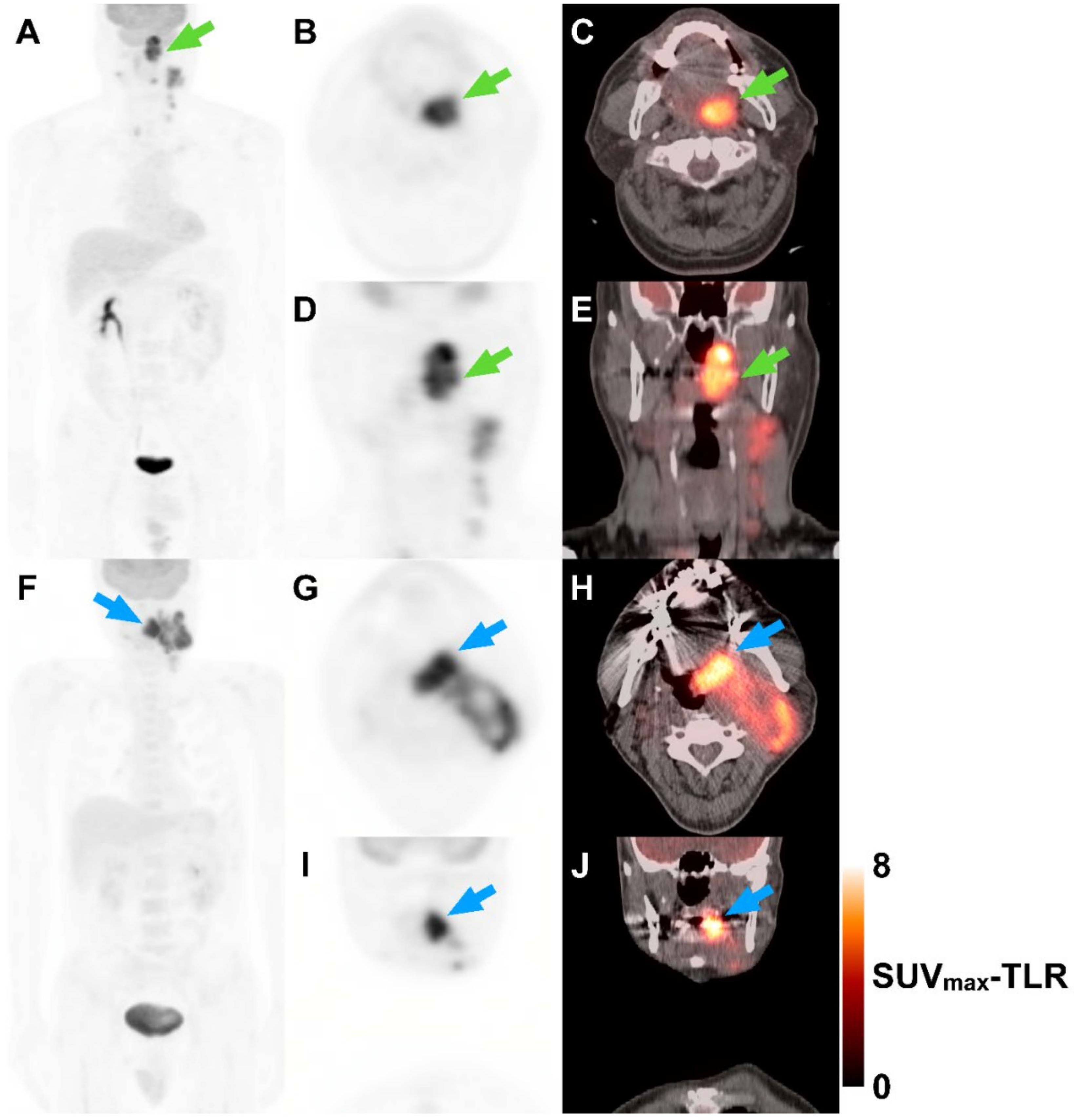 Cancers 13 05538 g003