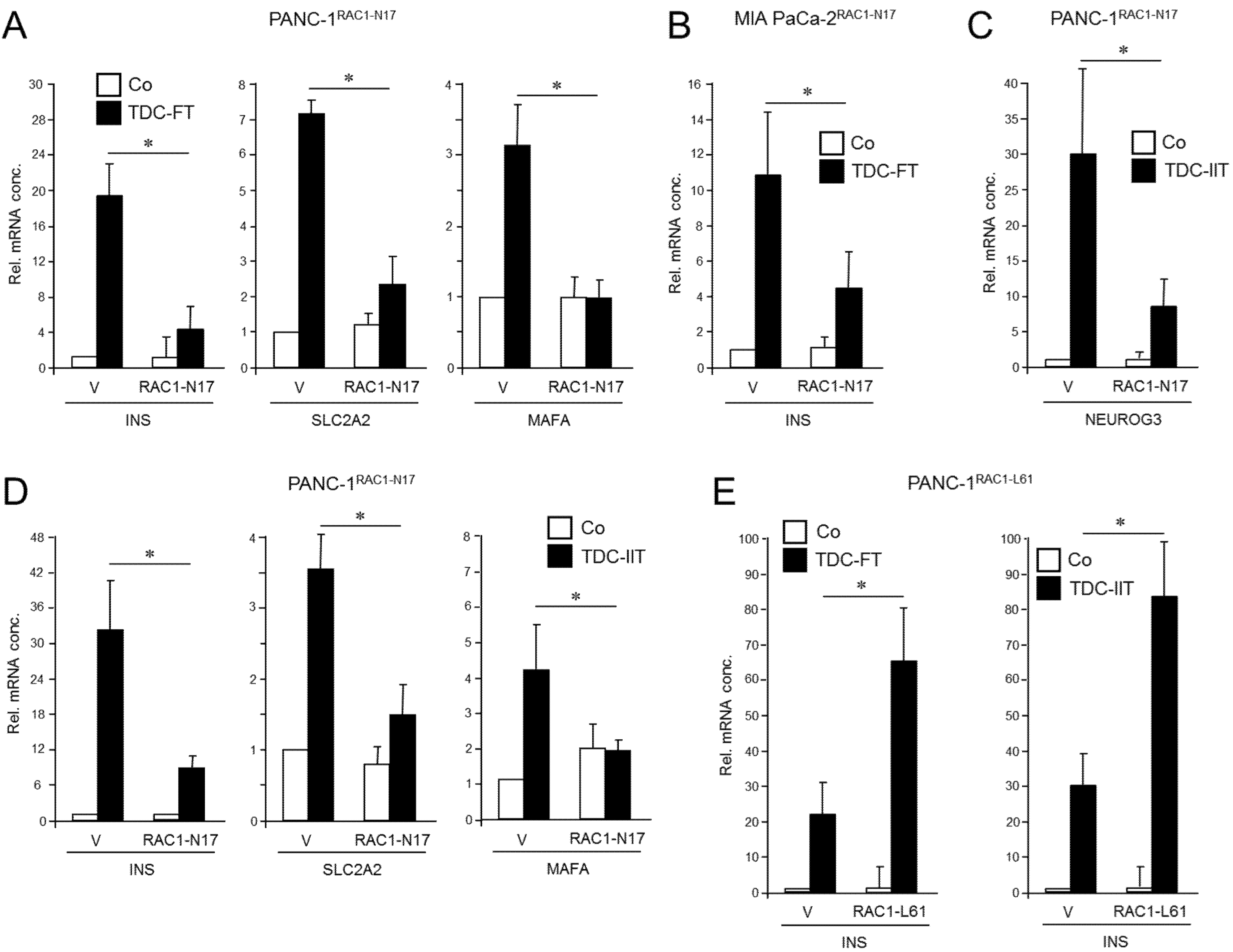 Cancers 13 05541 g001
