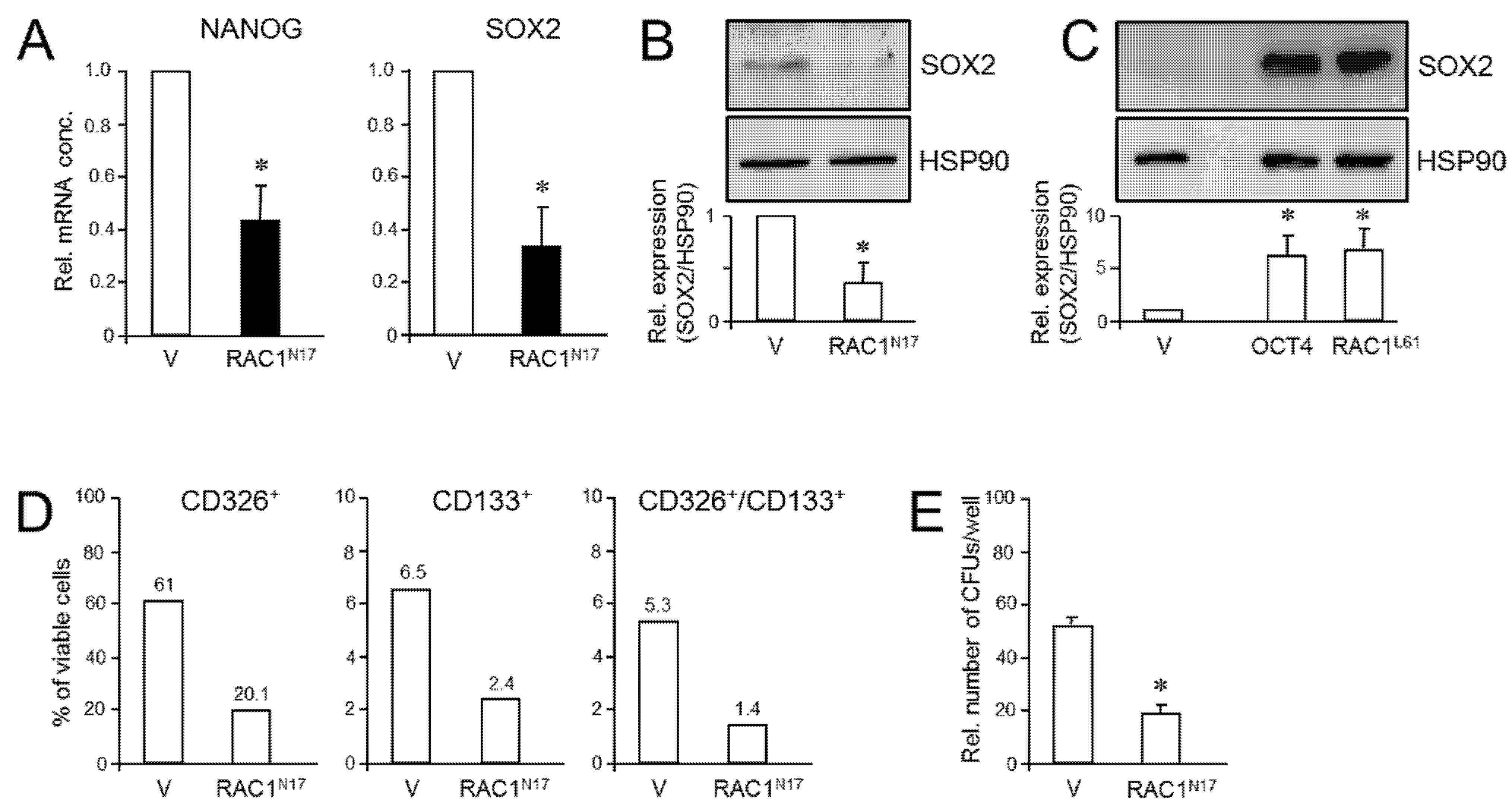 Cancers 13 05541 g004