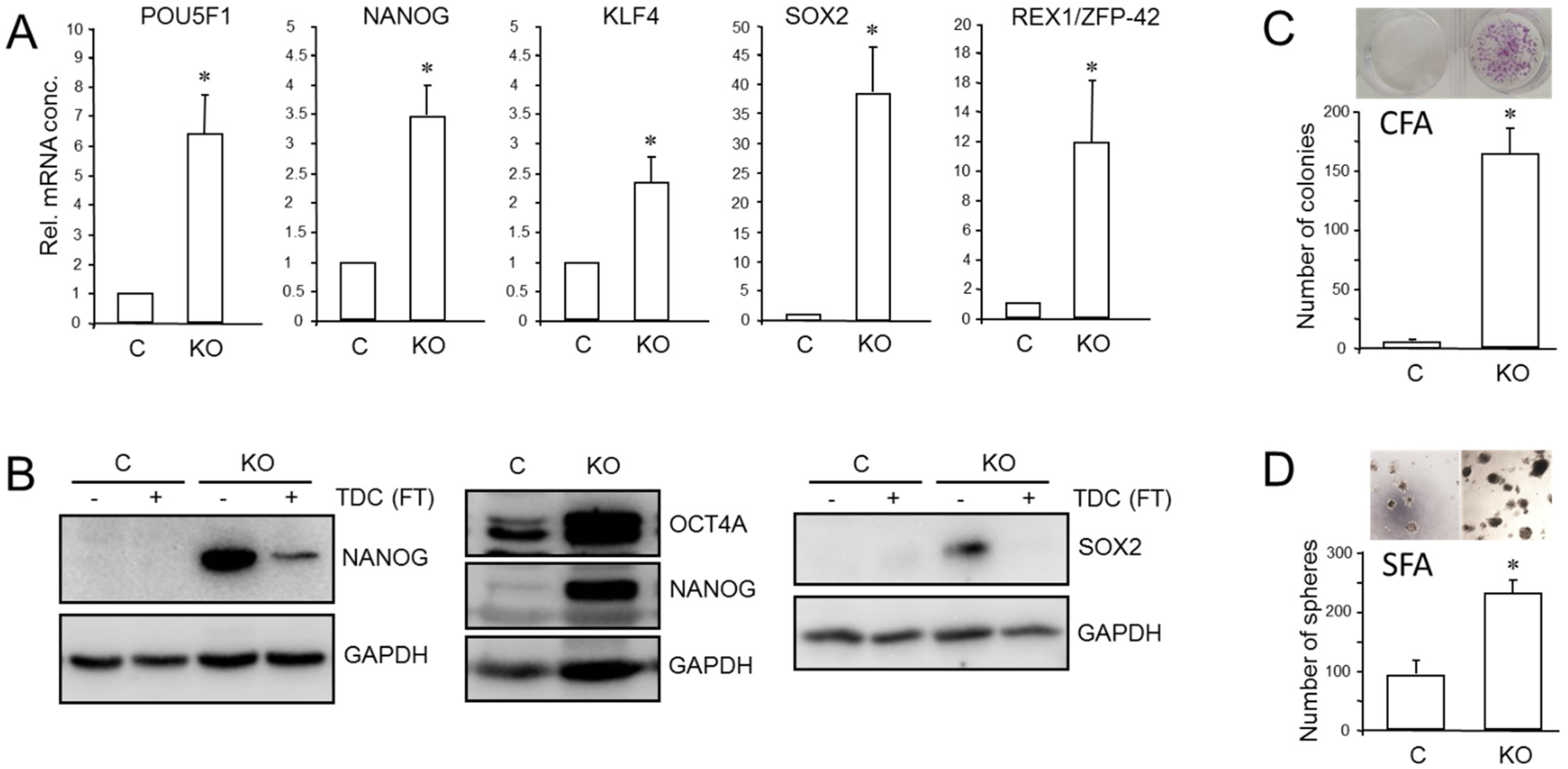 Cancers 13 05541 g005