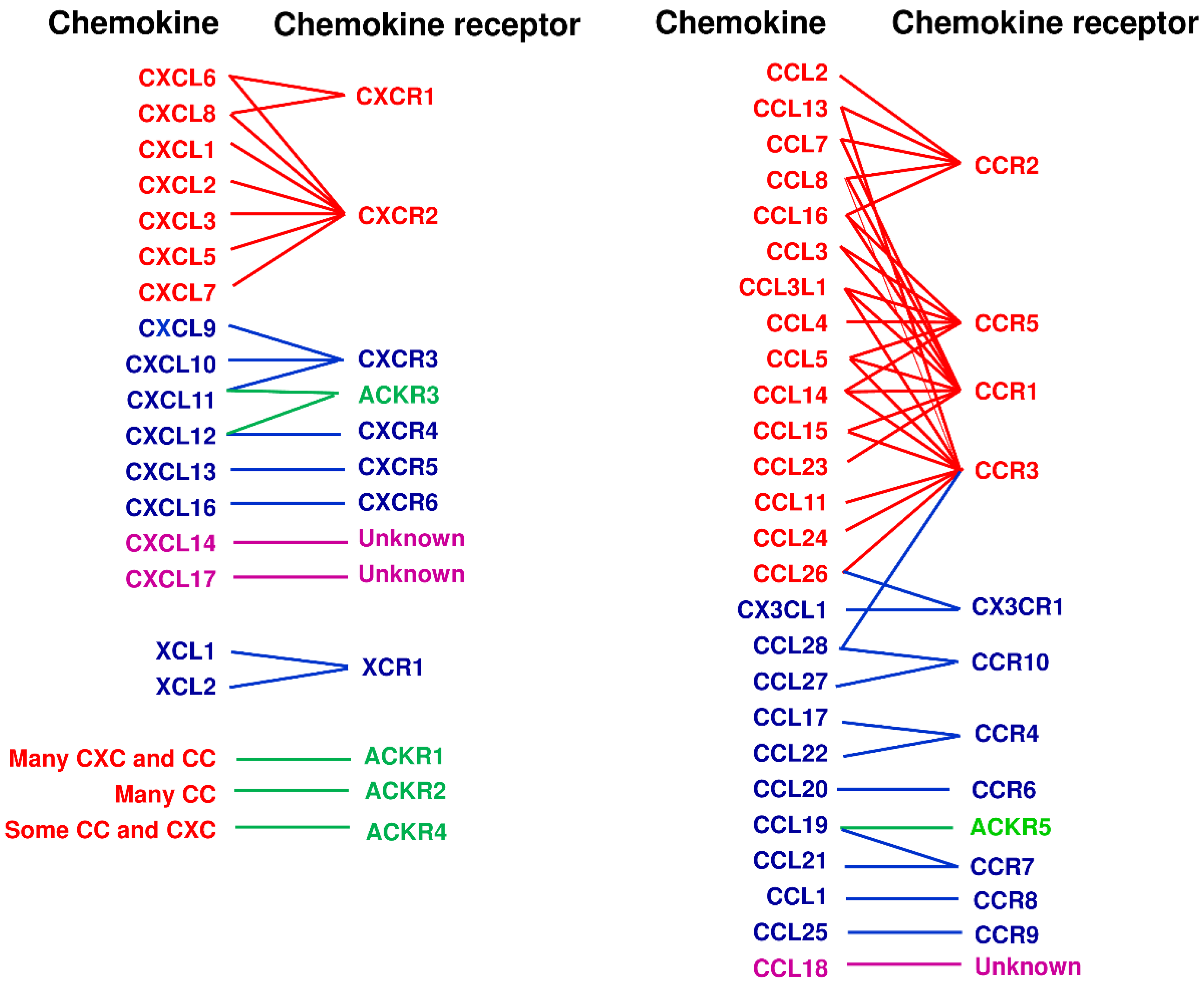 Cancers 13 05542 g001