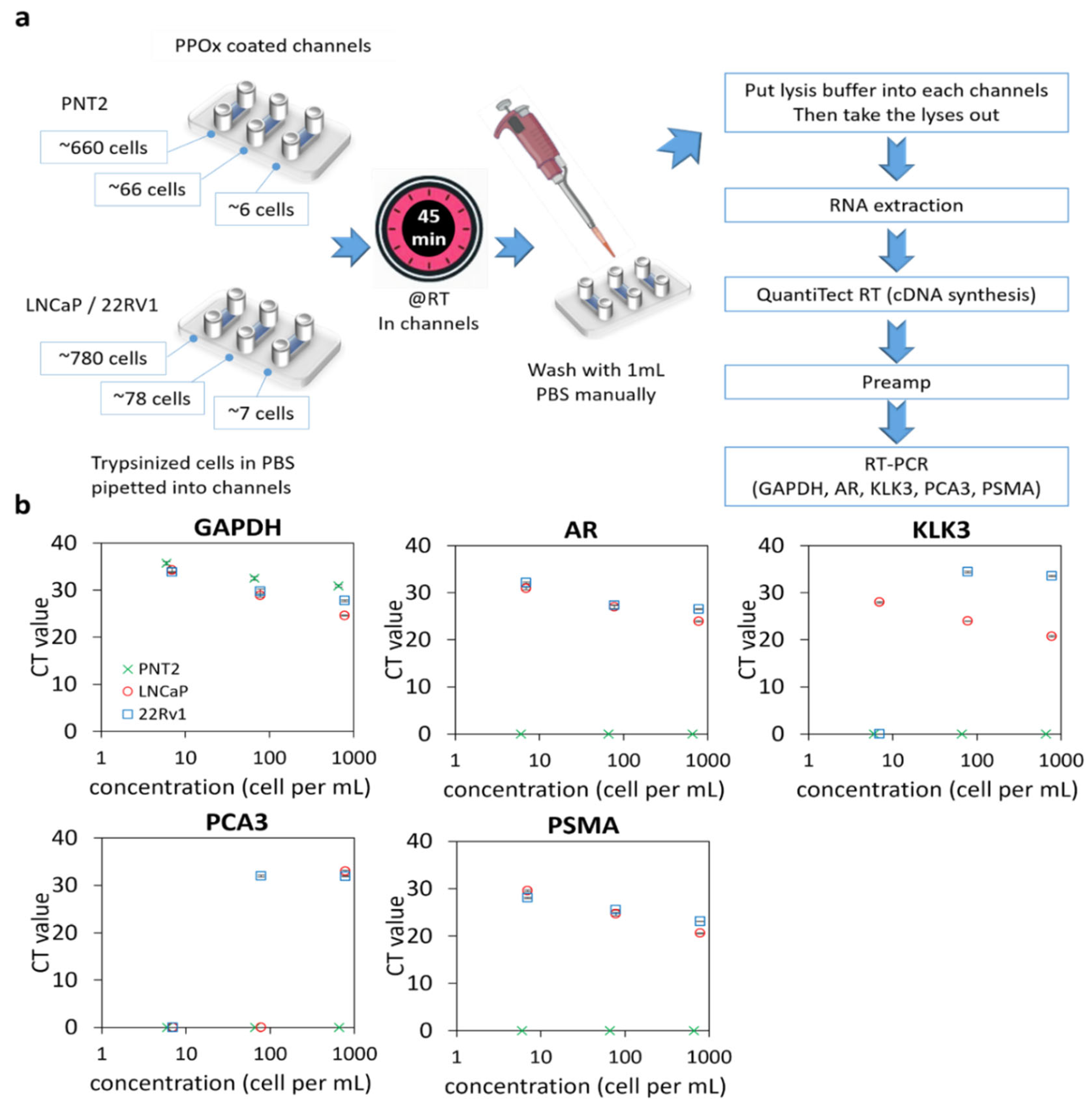 Cancers 13 05544 g002