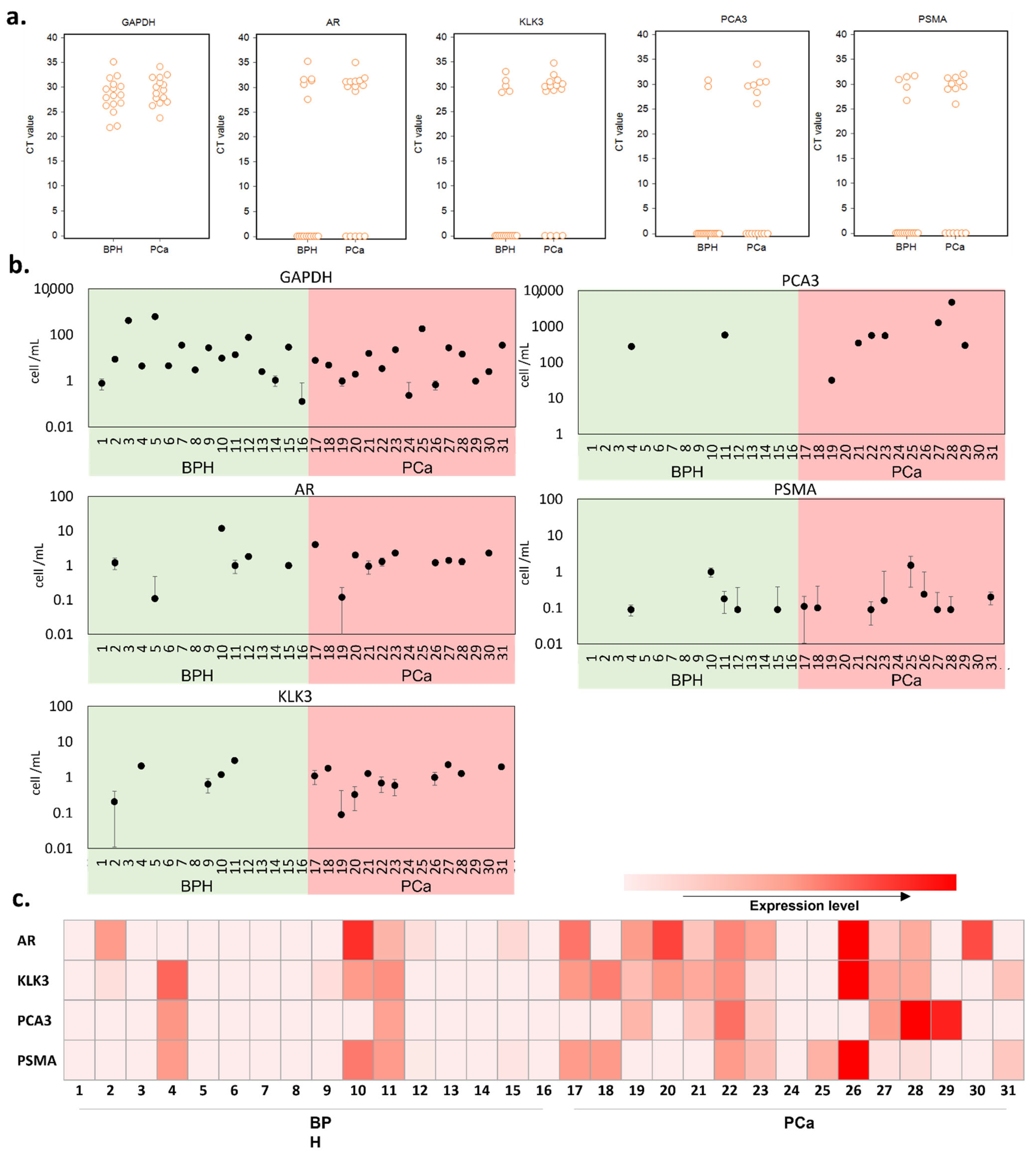Cancers 13 05544 g003
