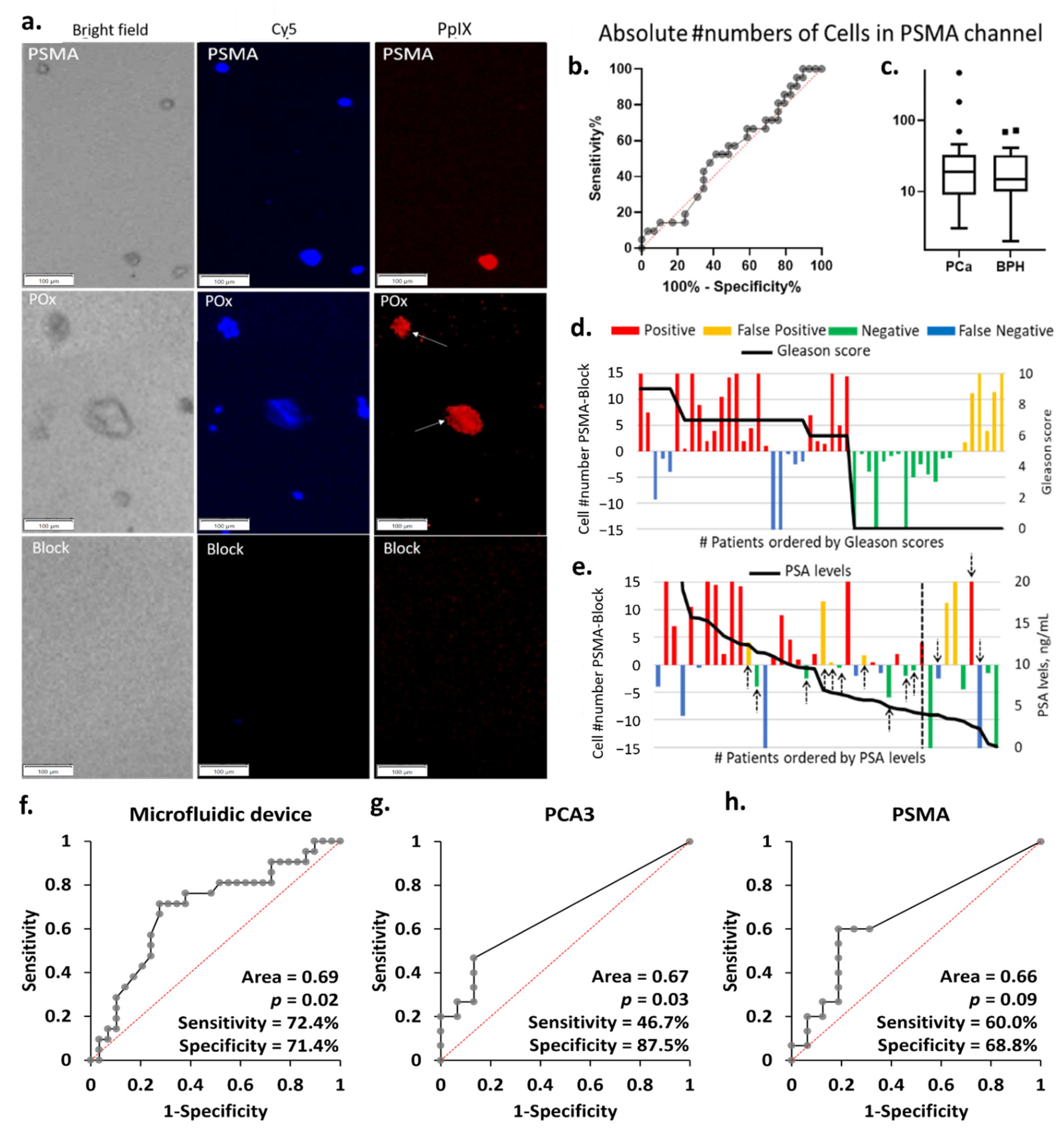 Cancers 13 05544 g004