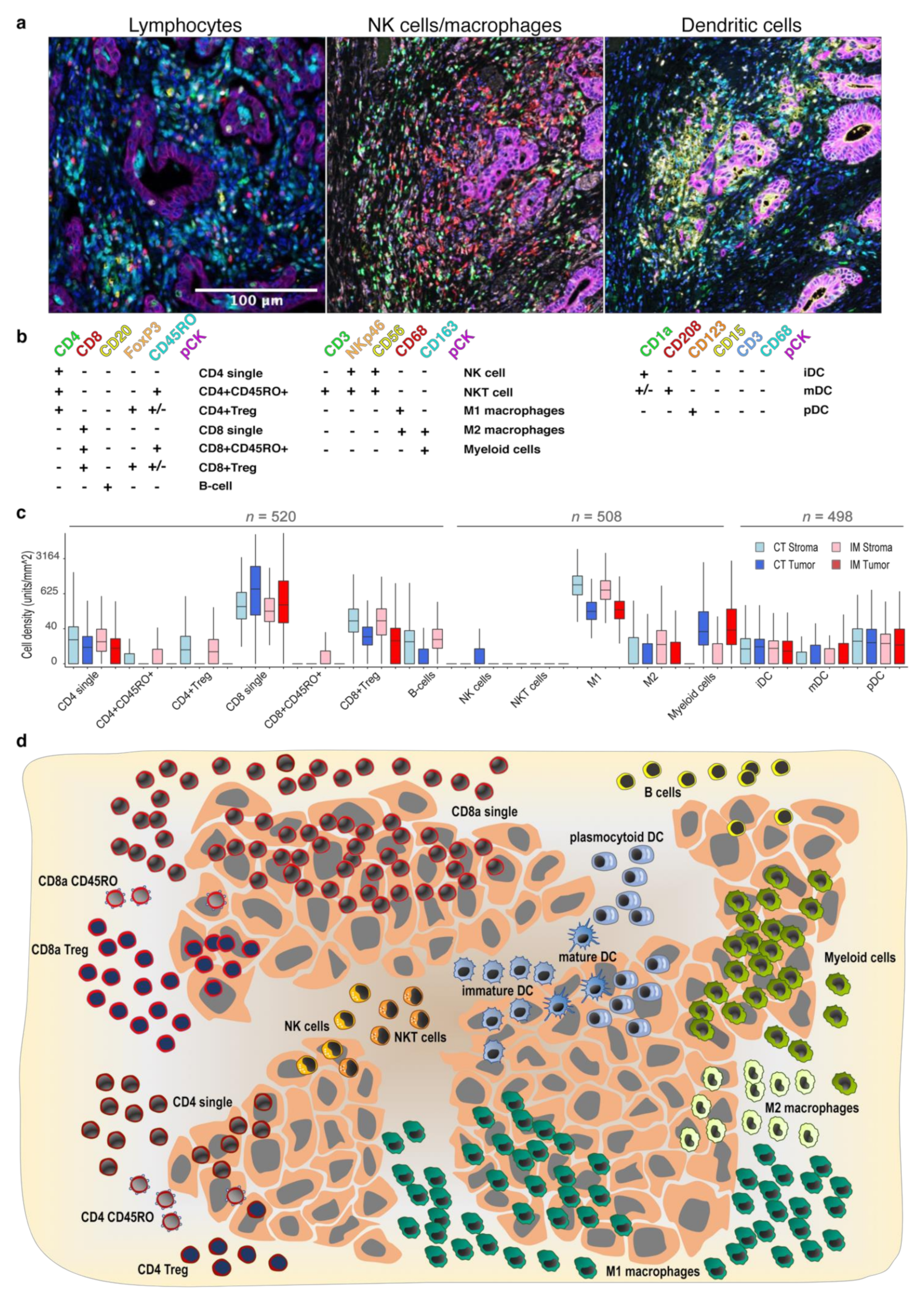 Cancers 13 05545 g001