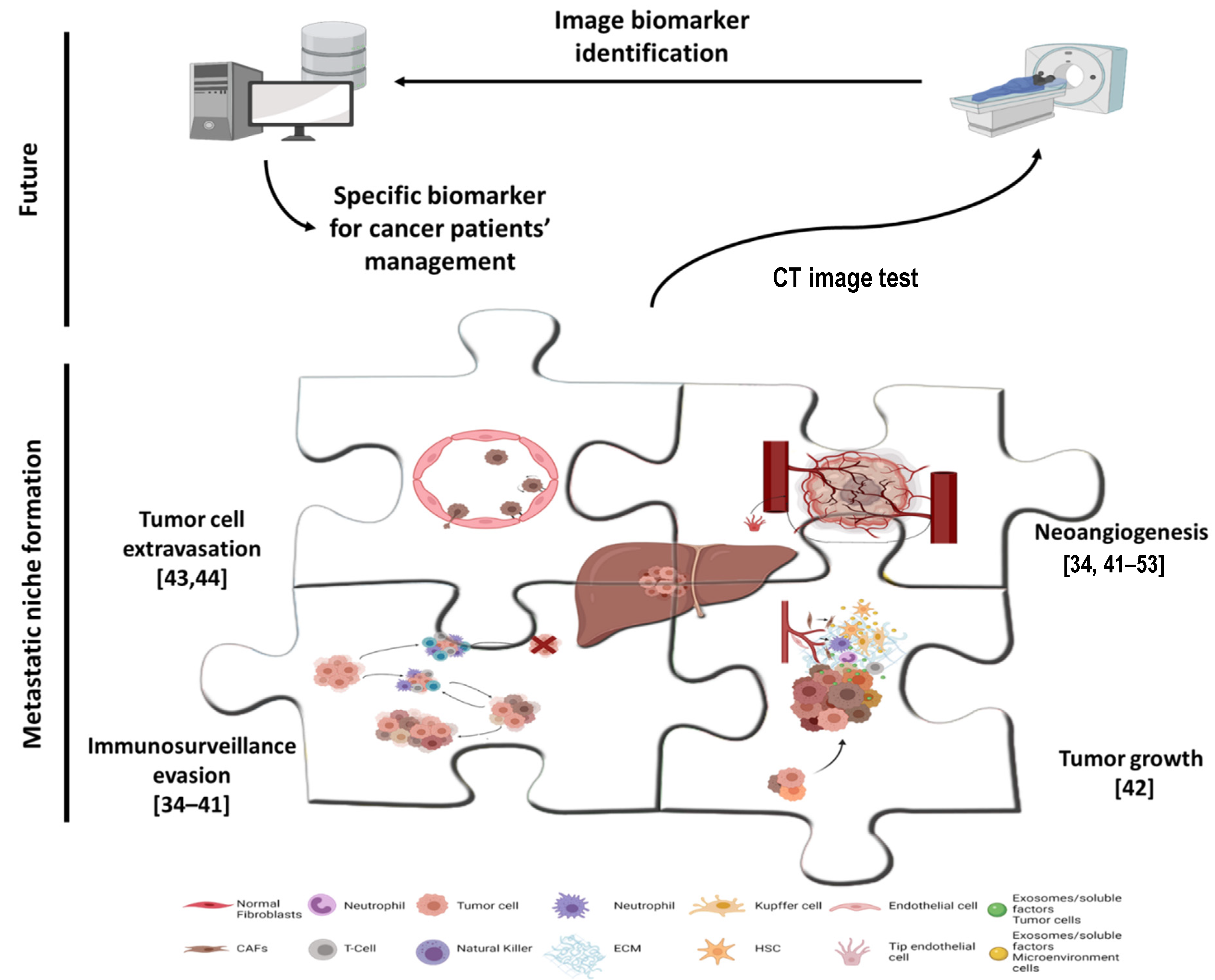 Cancers 13 05547 g001