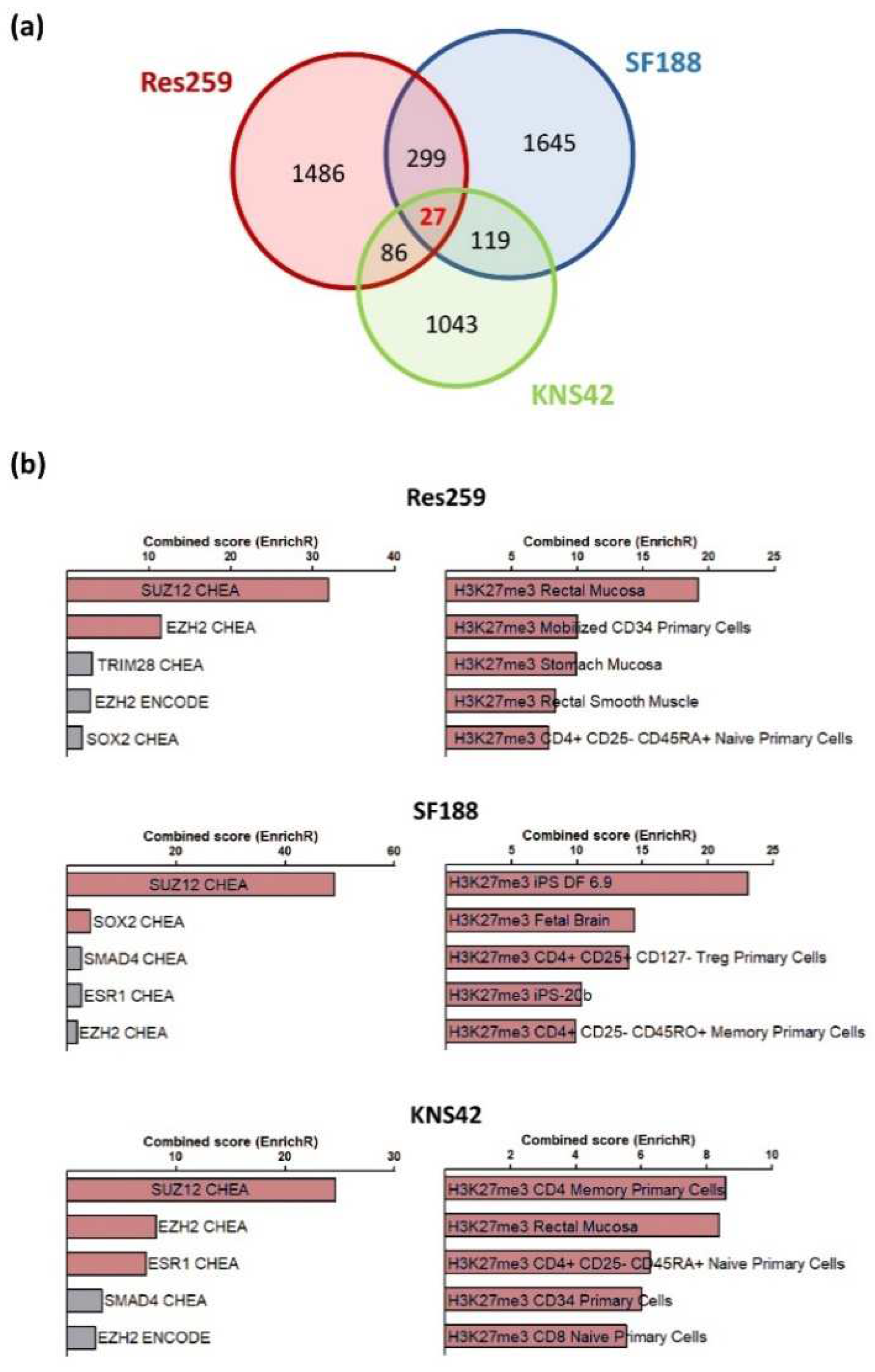 Cancers 13 05551 g002