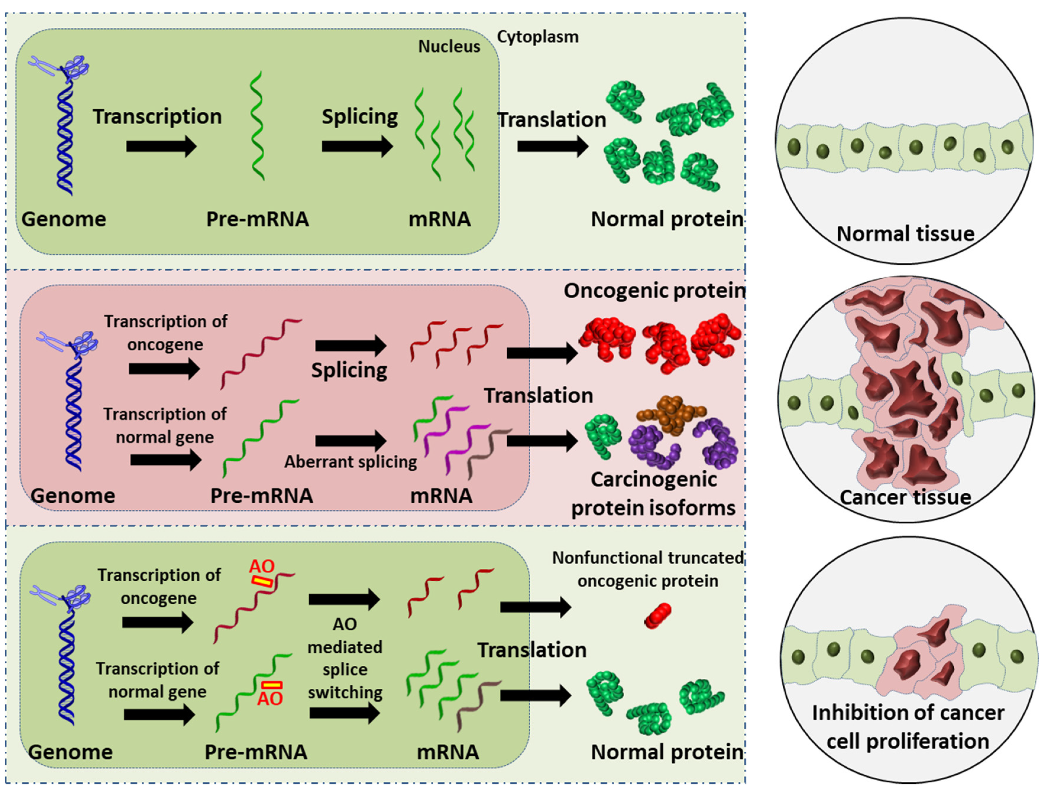 Cancers 13 05555 g001