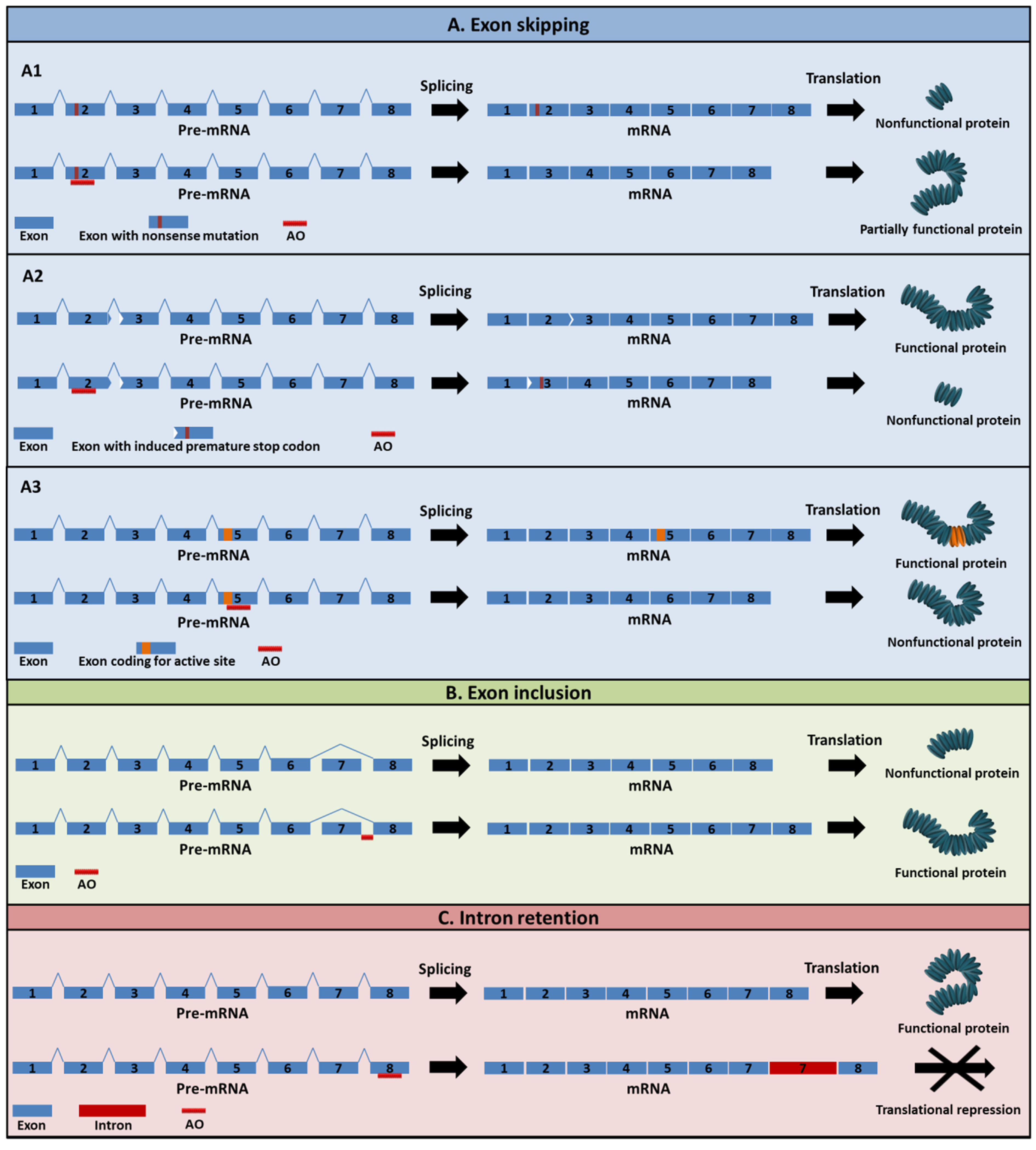 Cancers 13 05555 g003