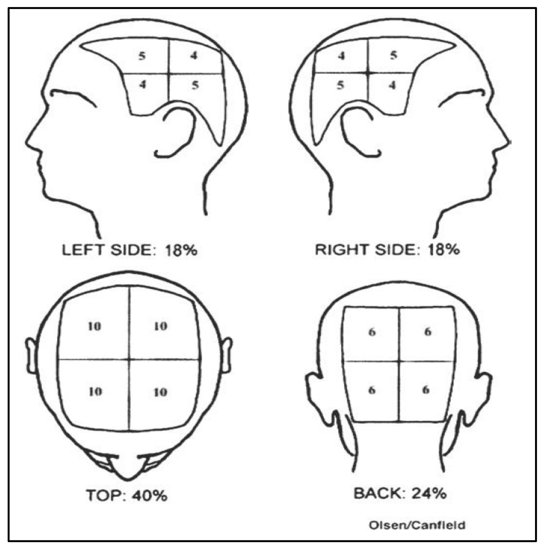 Cancers 13 05556 g001