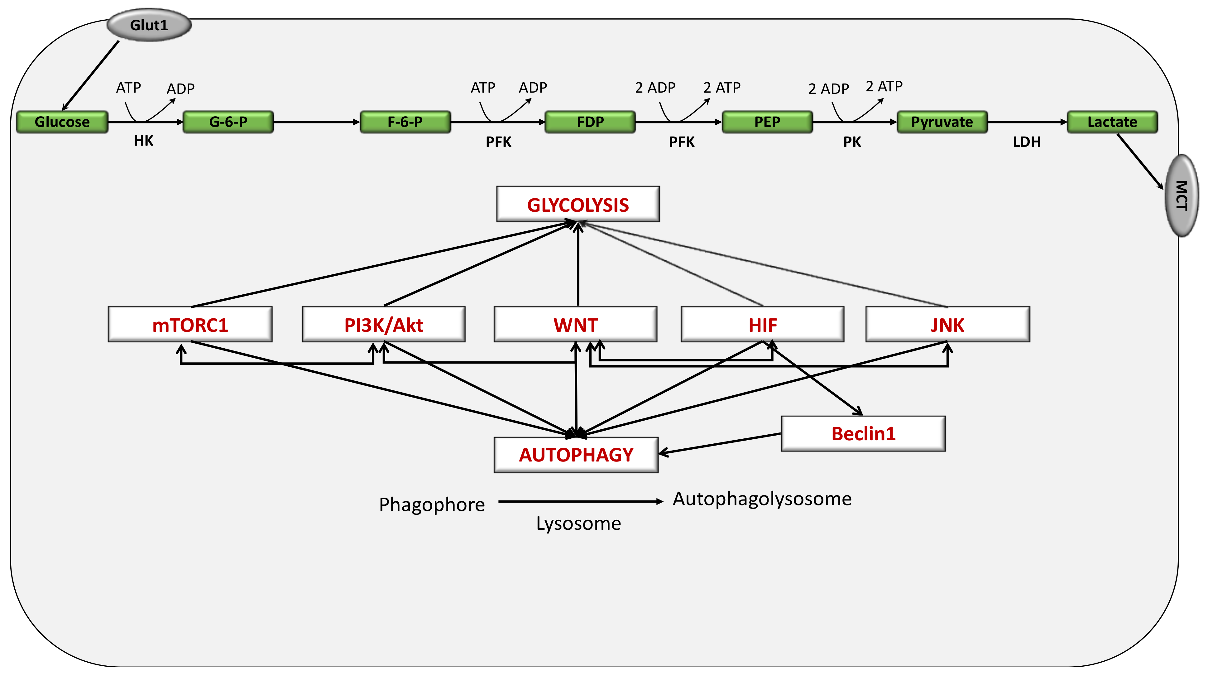 Cancers 13 05557 g004