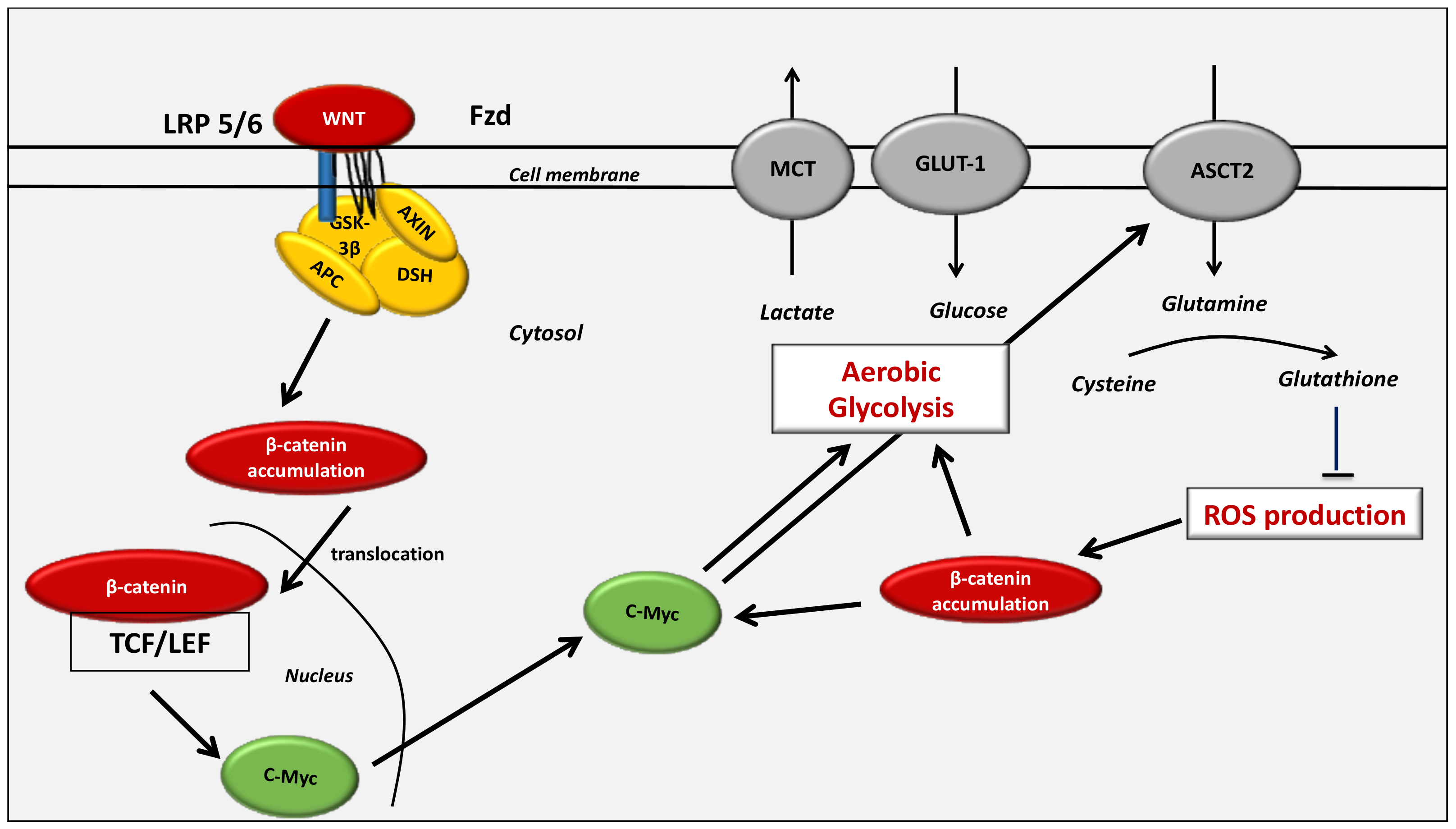 Cancers 13 05557 g005