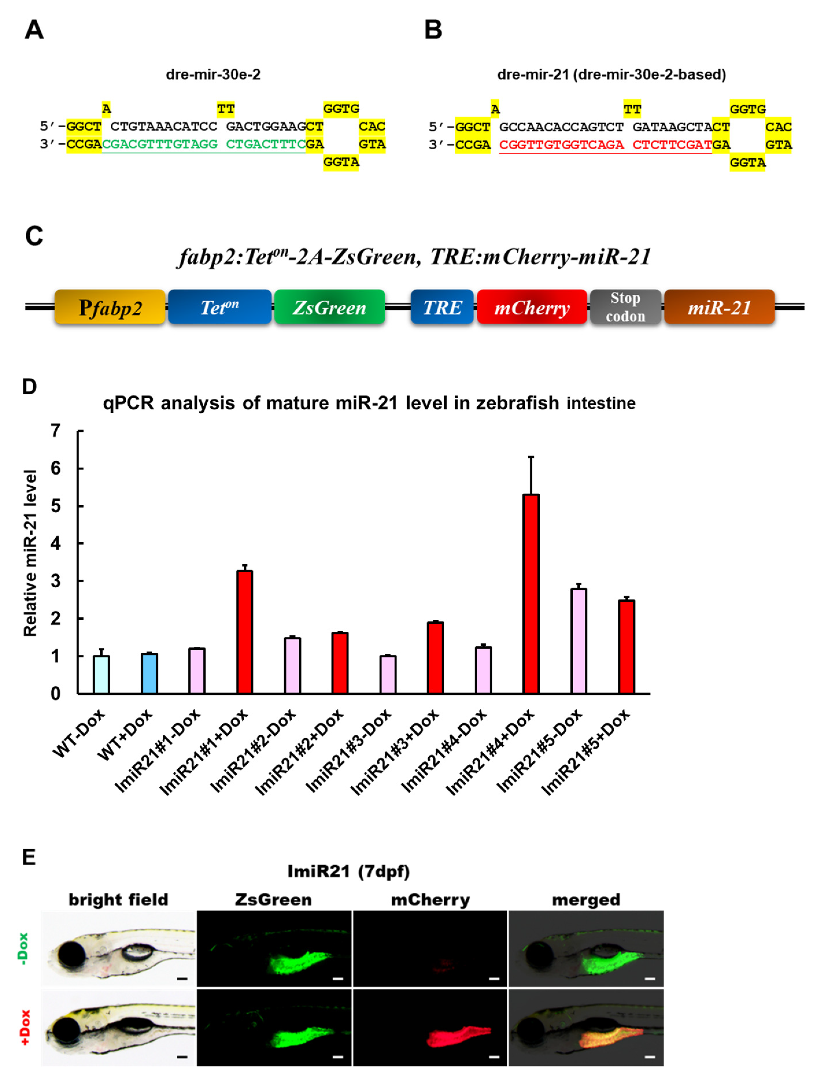 Cancers 13 05565 g001