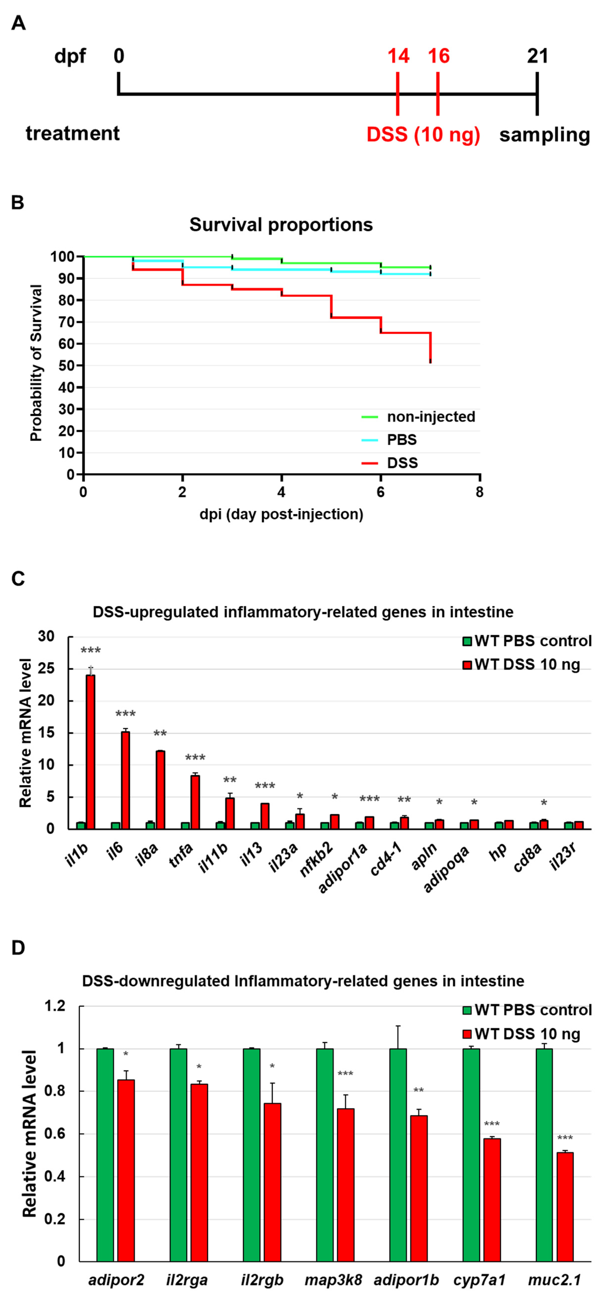 Cancers 13 05565 g002