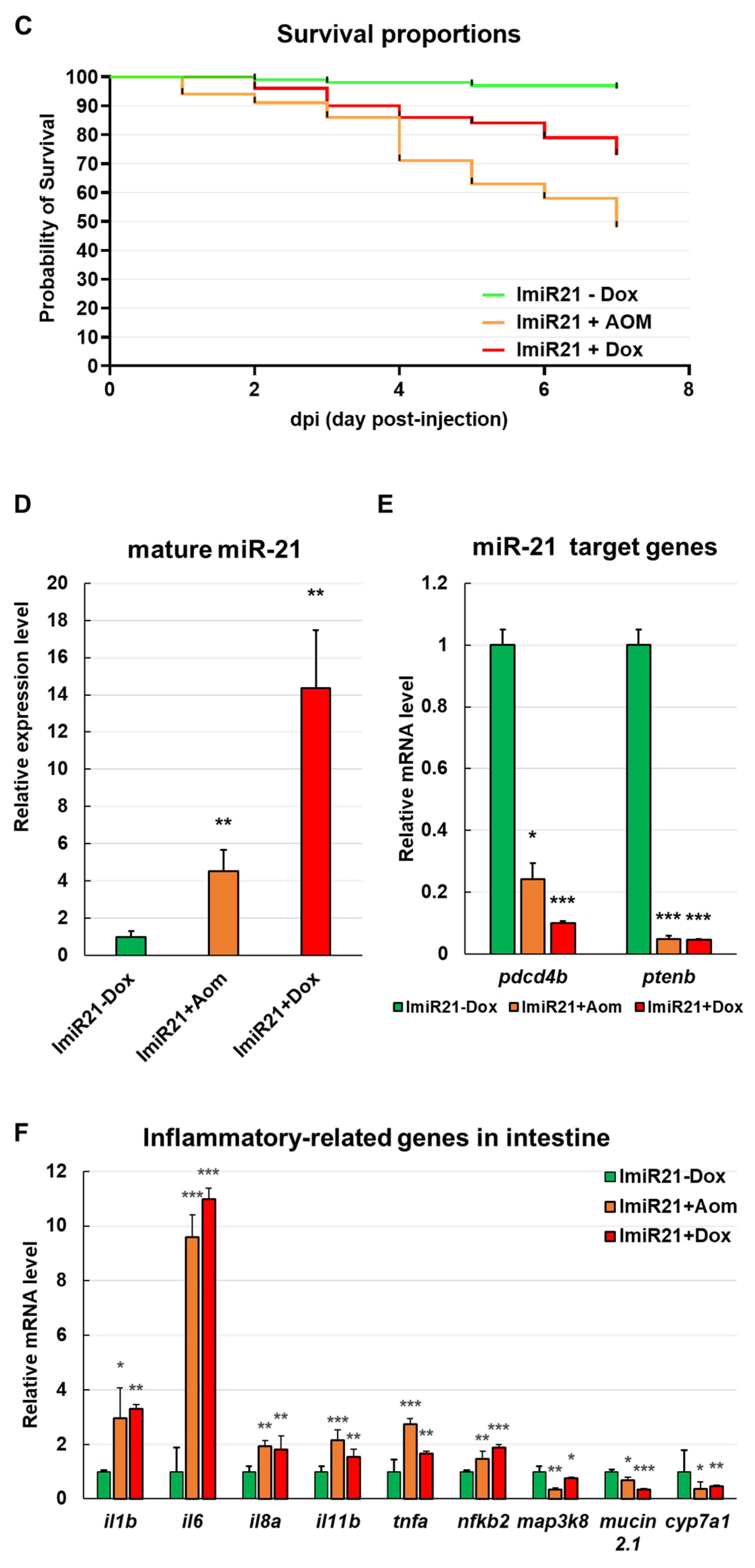 Cancers 13 05565 g003b