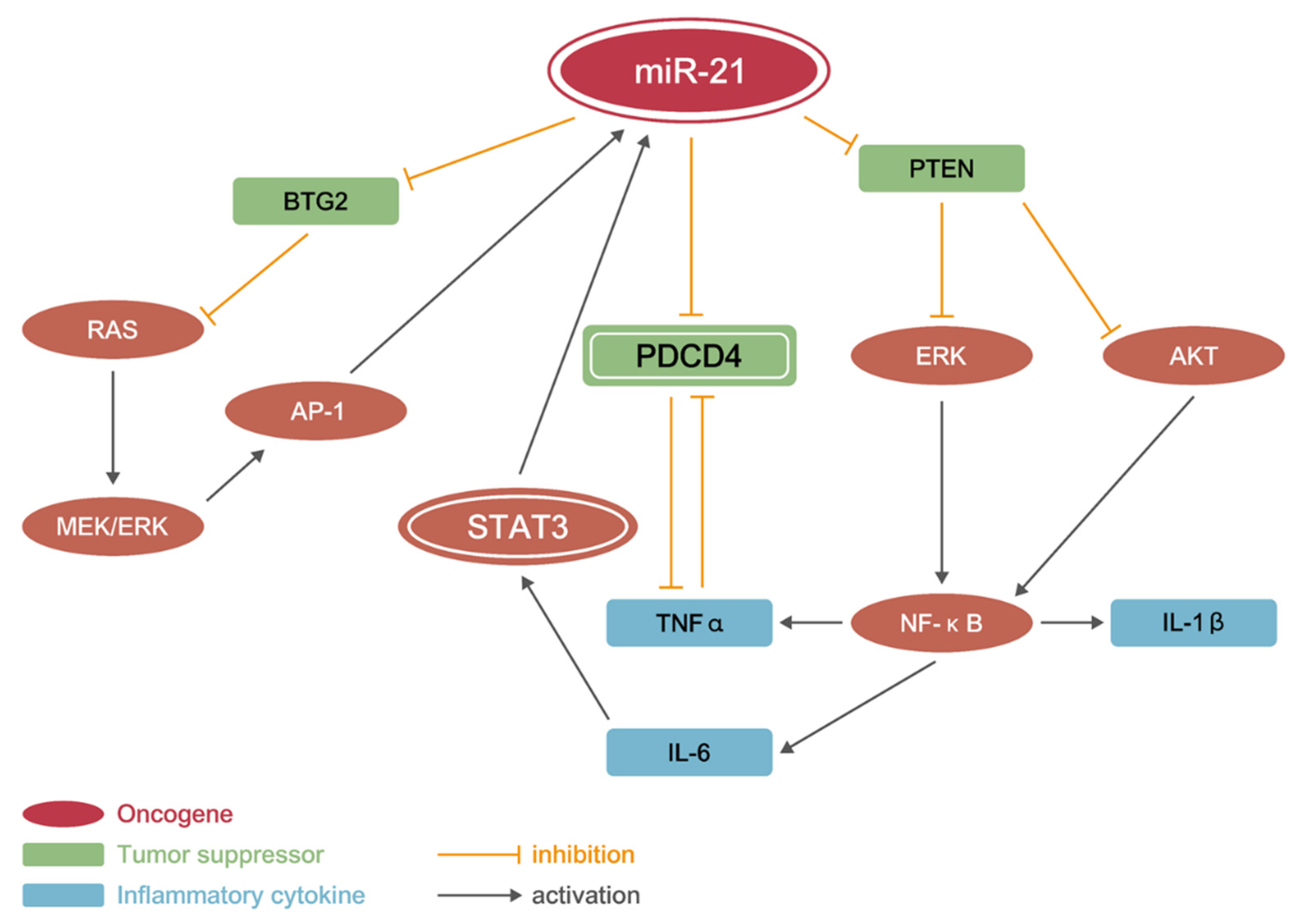 Cancers 13 05565 g007