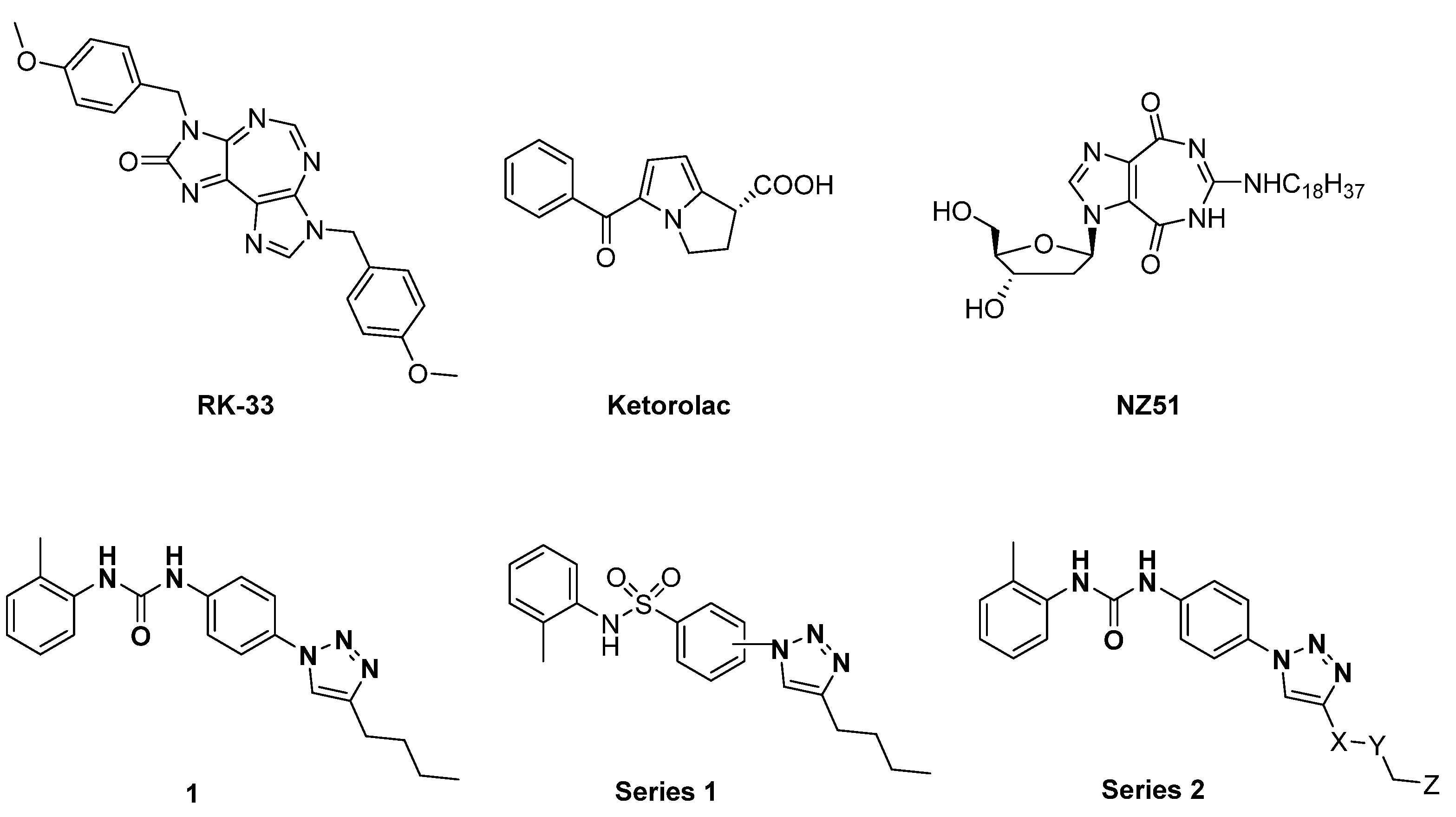 Cancers 13 05569 g001