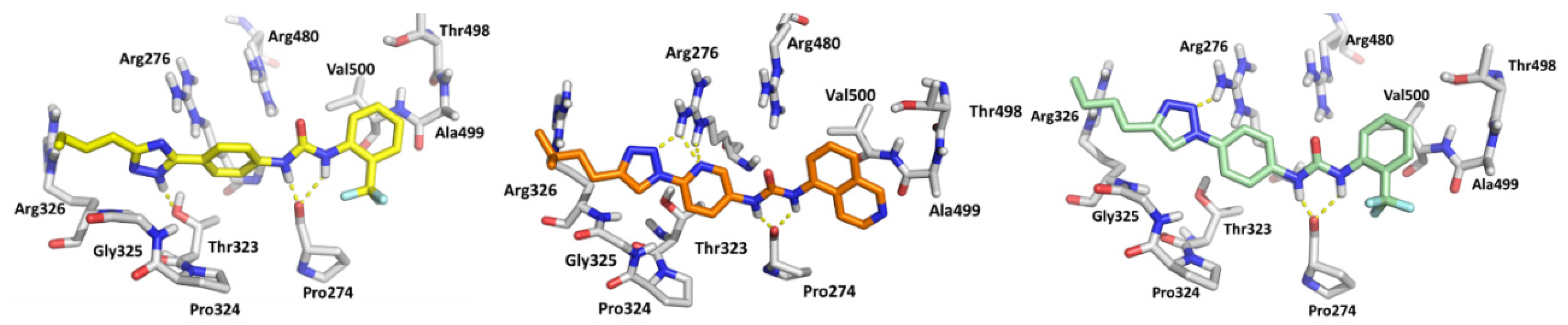 Cancers 13 05569 g002