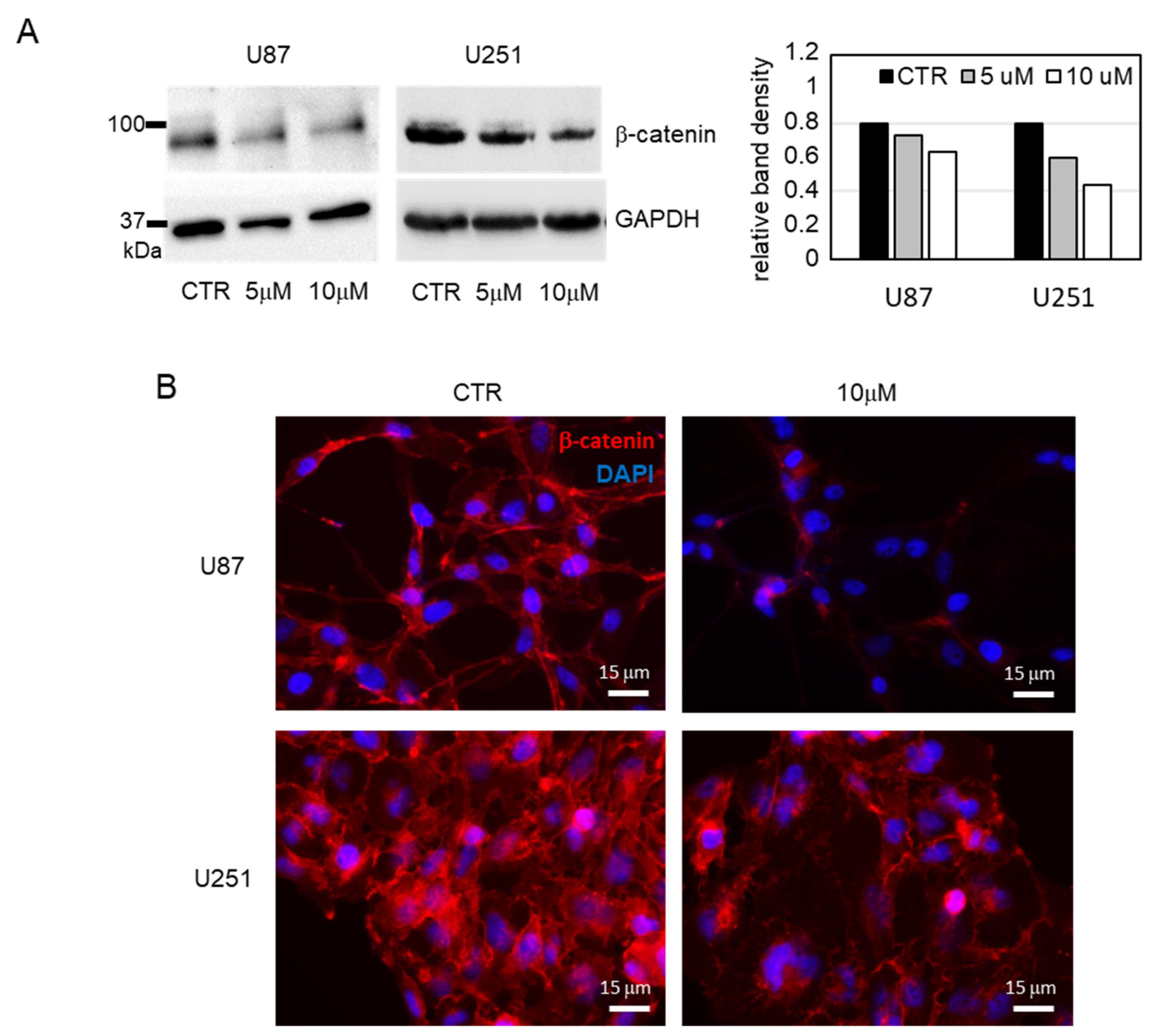 Cancers 13 05569 g007