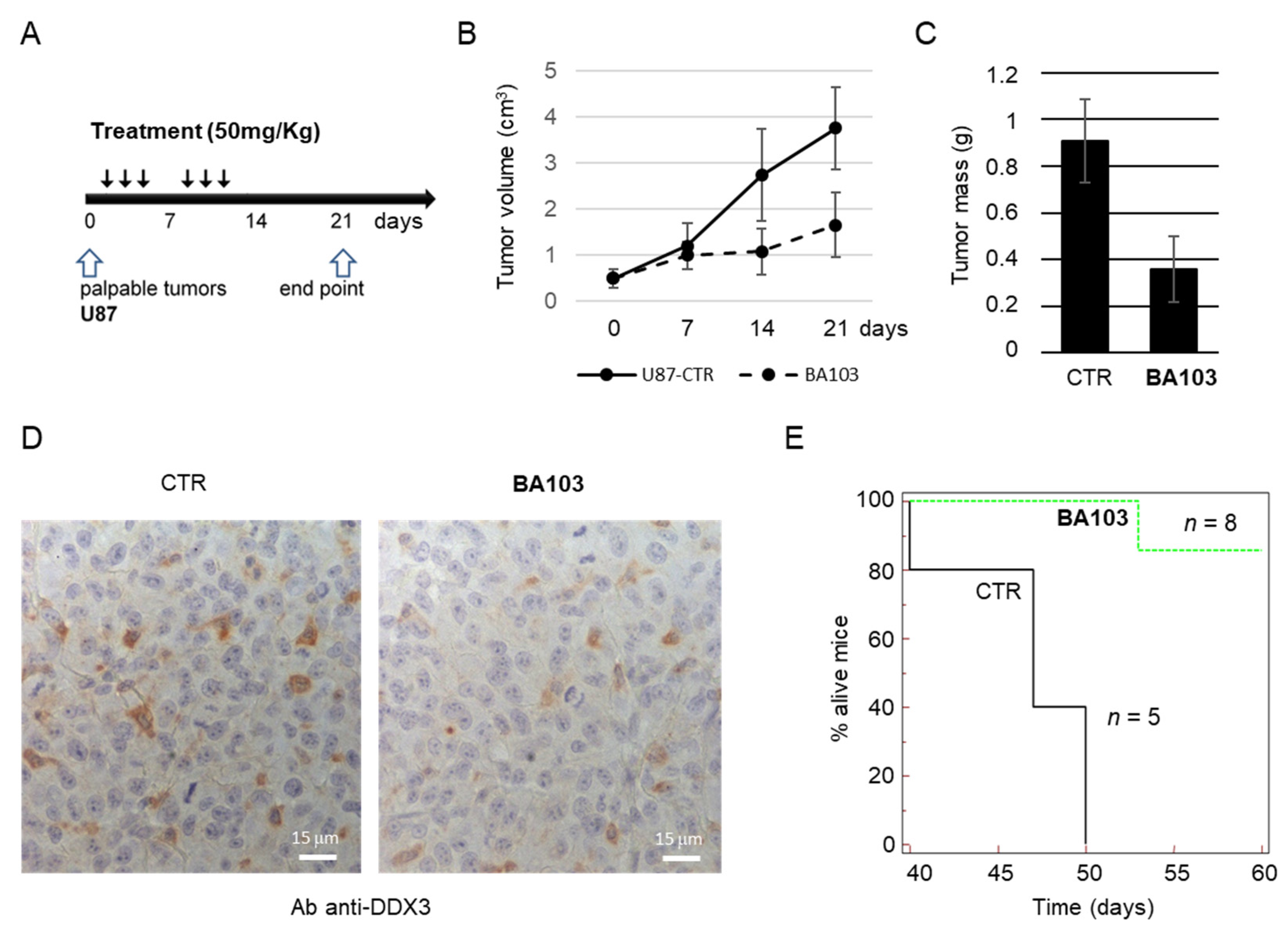 Cancers 13 05569 g009