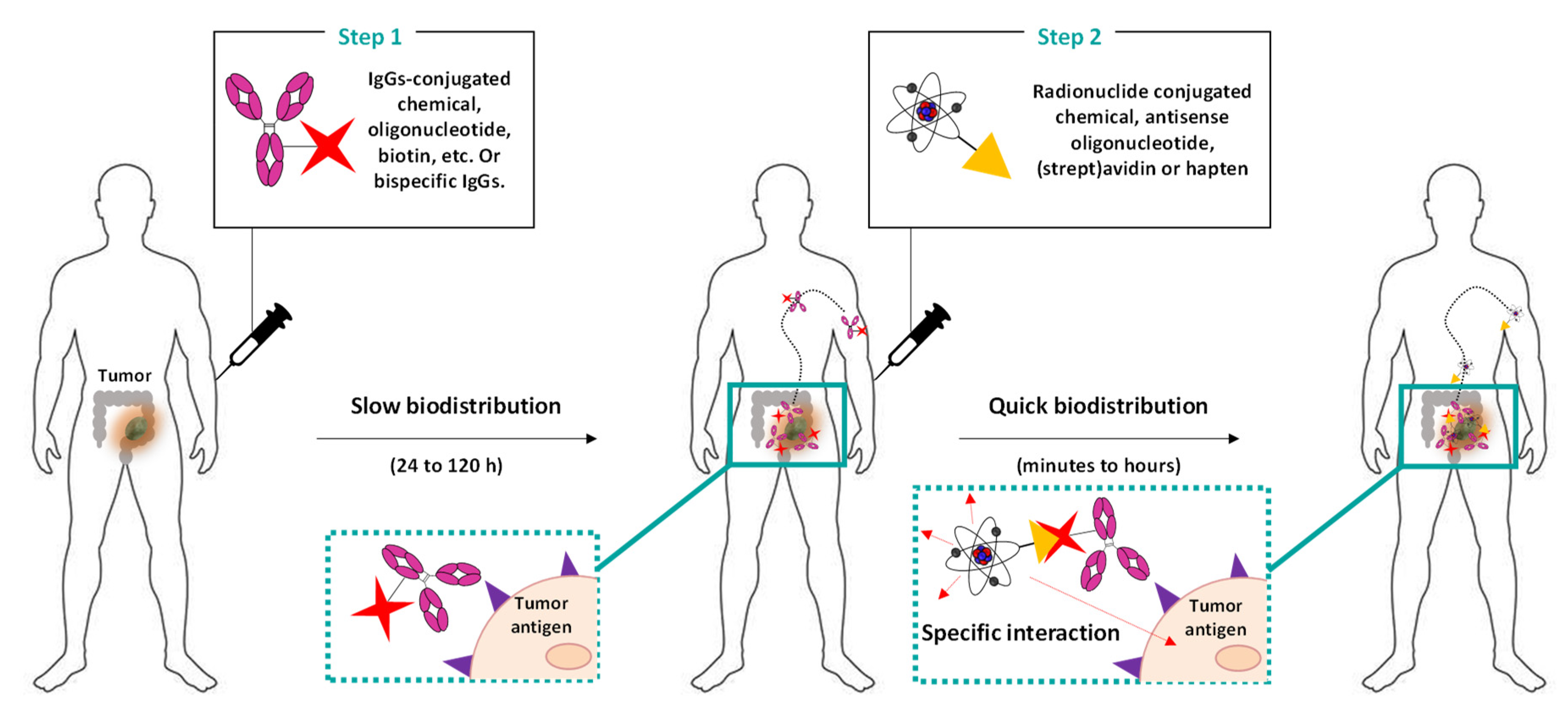 Cancers 13 05570 g004