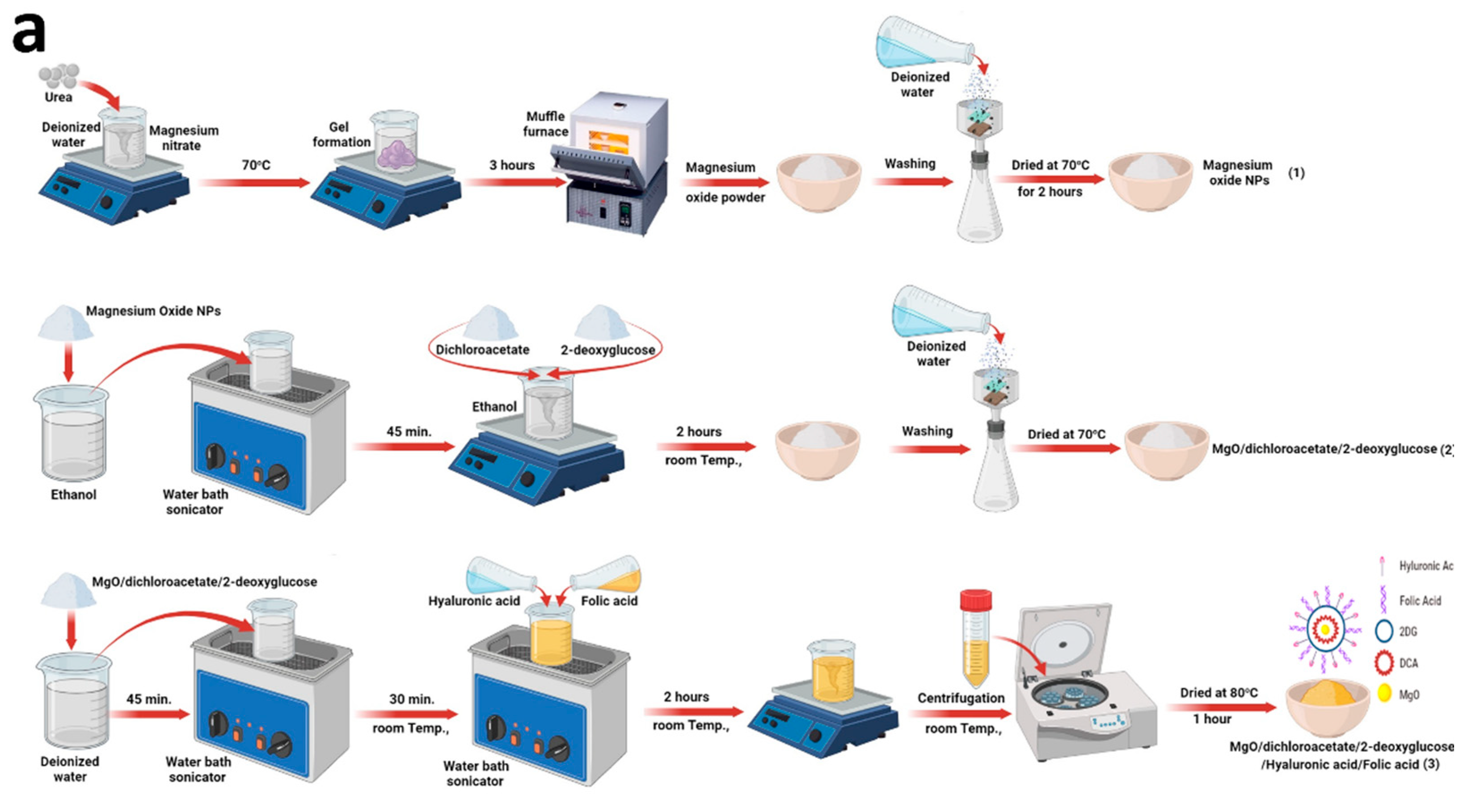 Cancers 13 05571 g001a