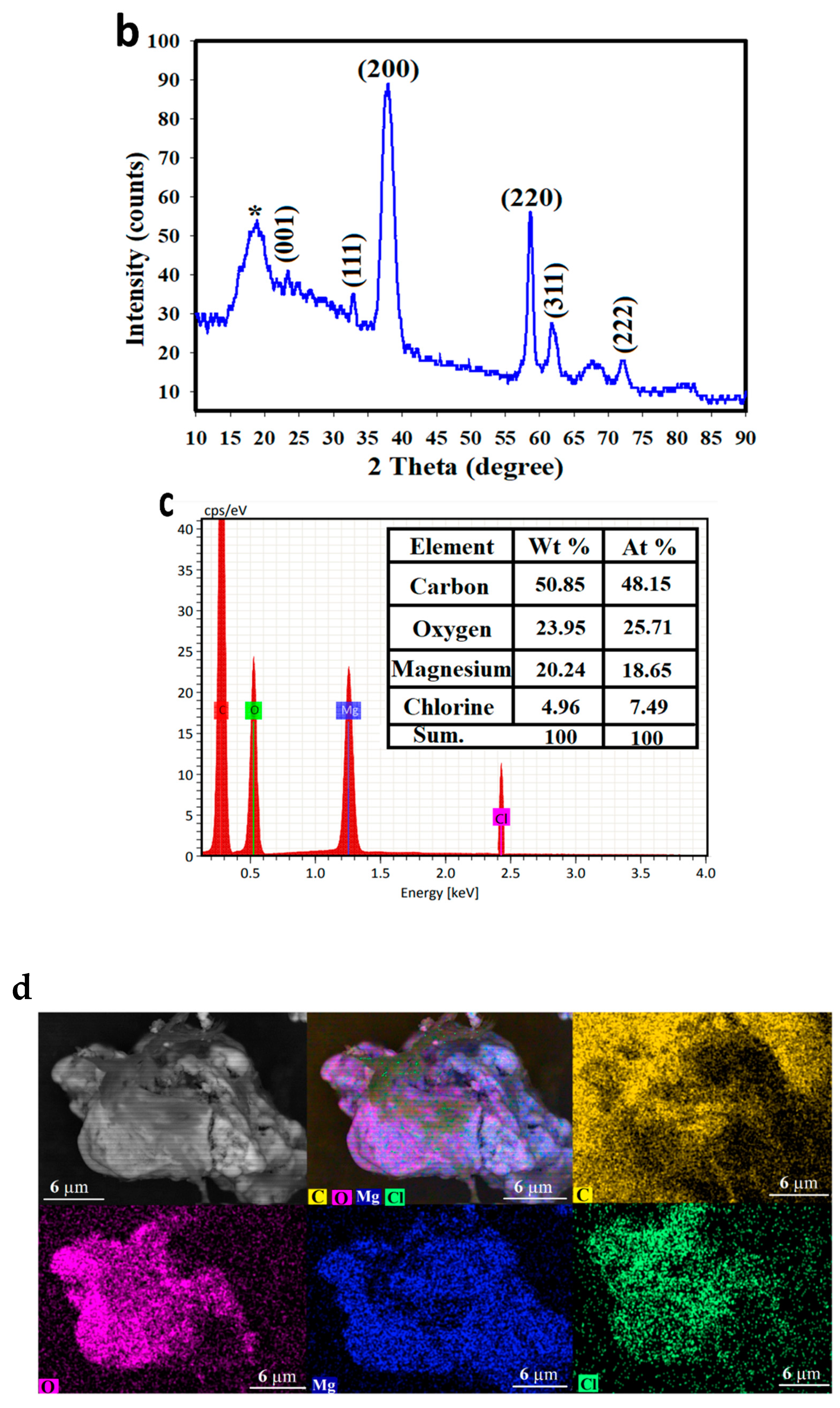 Cancers 13 05571 g001b