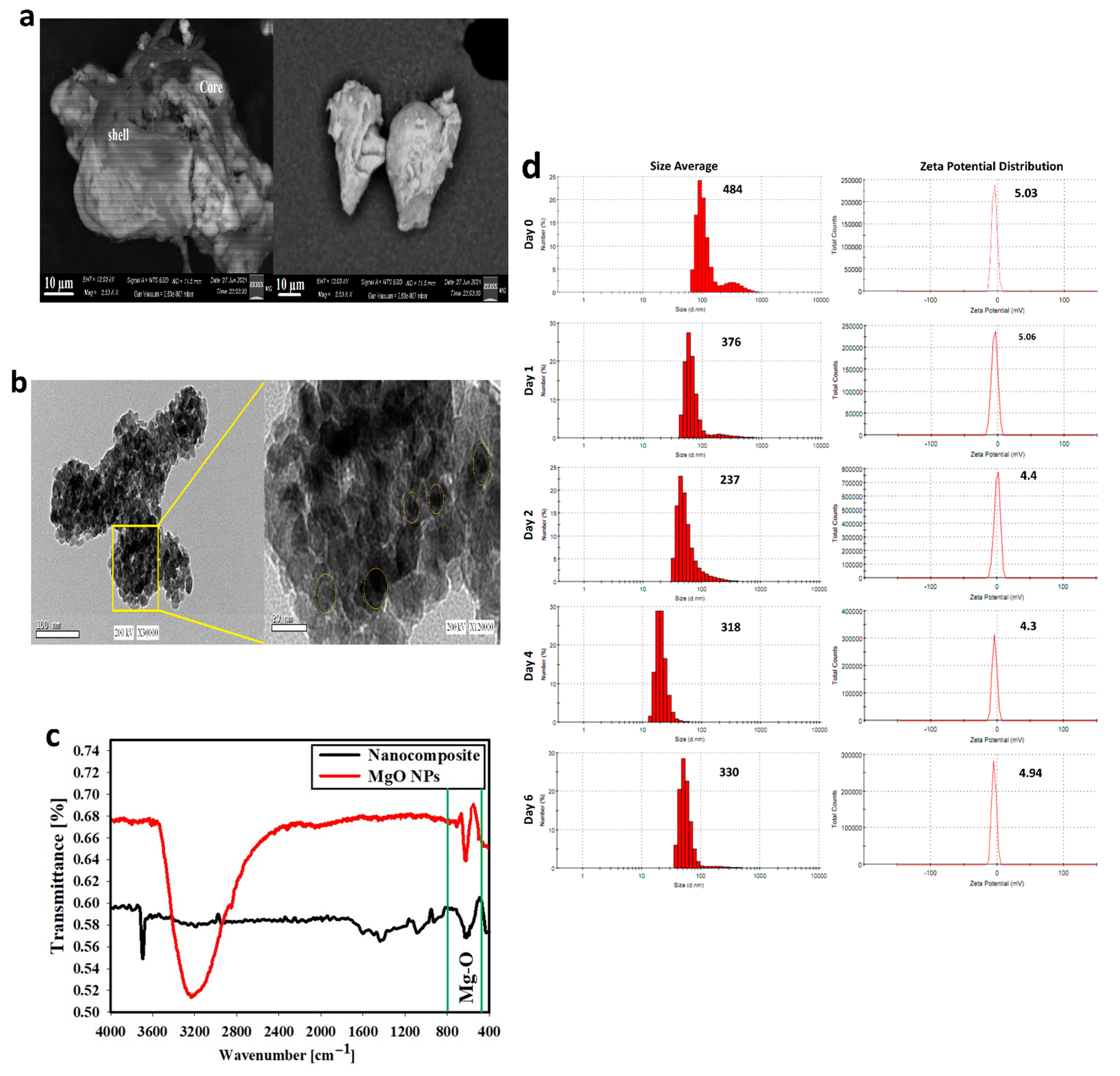 Cancers 13 05571 g002