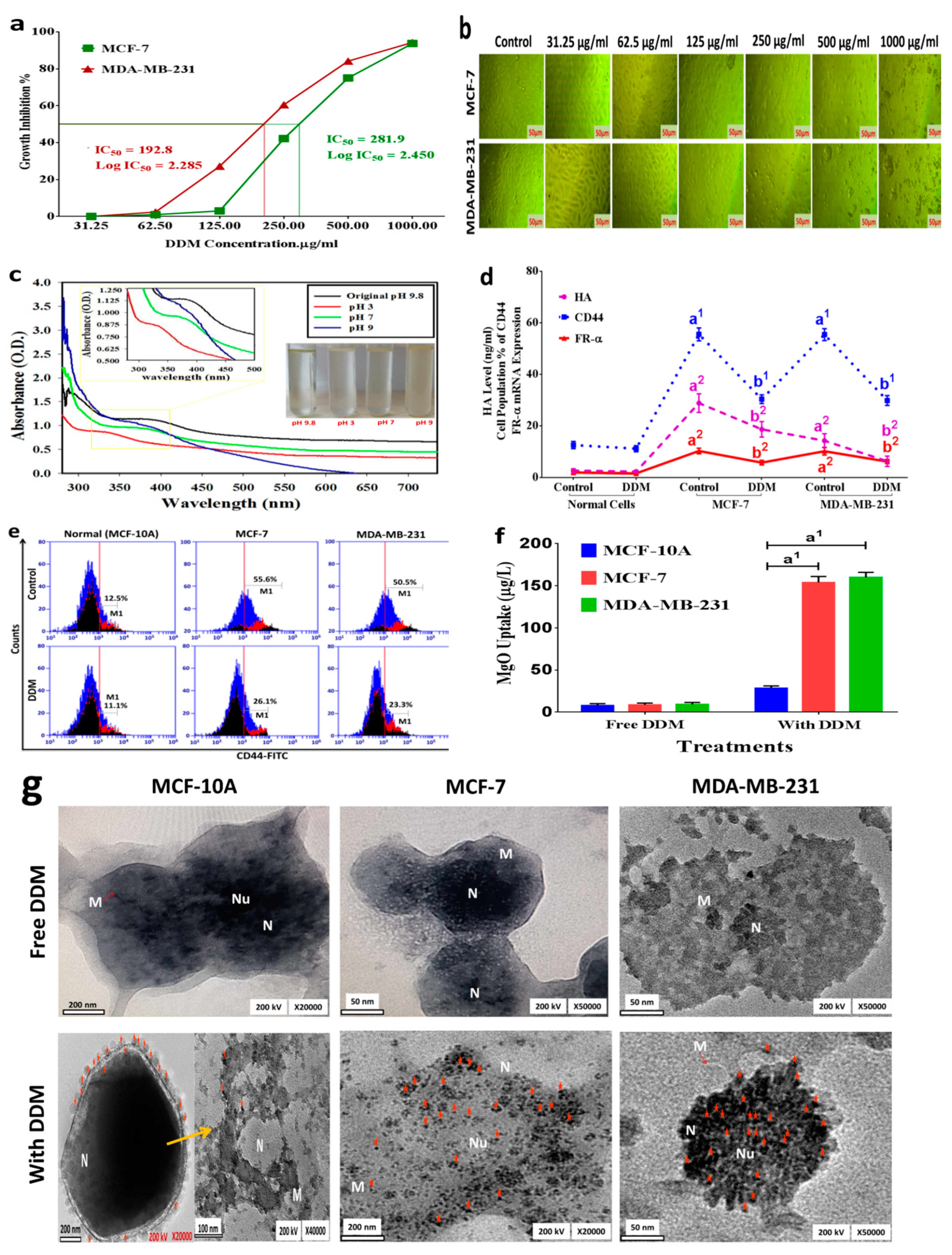 Cancers 13 05571 g003