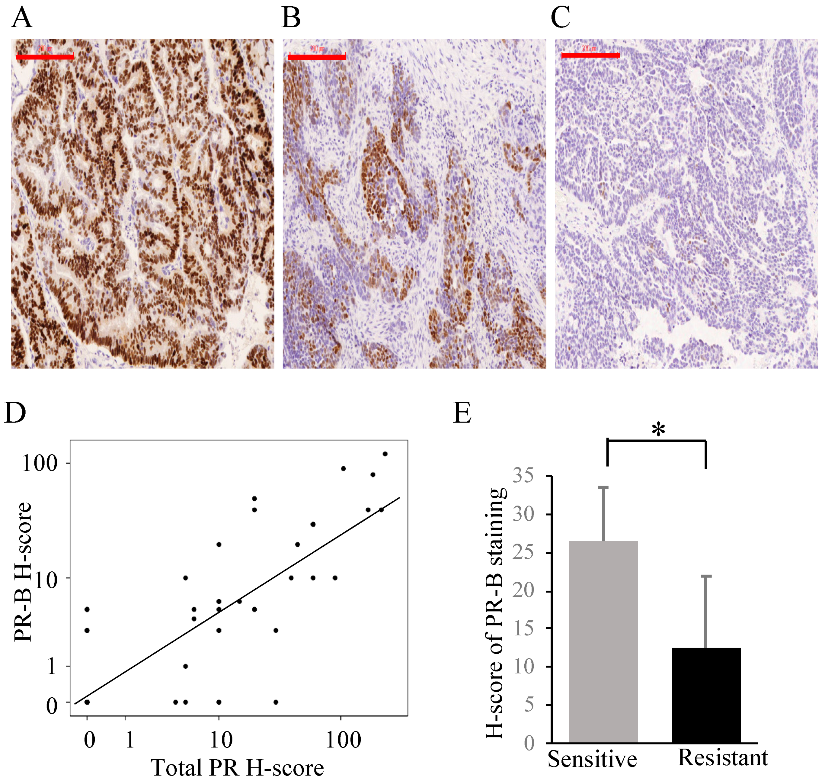 Cancers 13 05578 g001