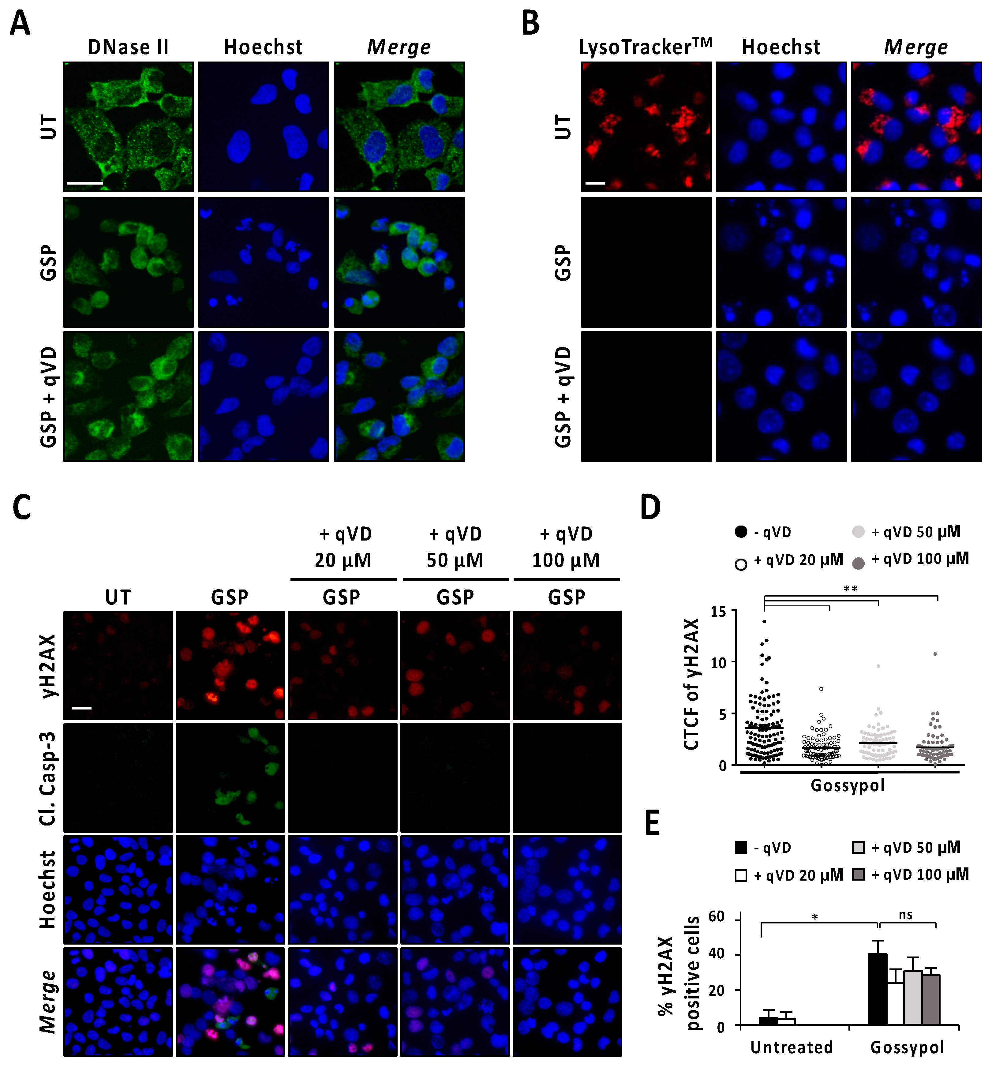 Cancers 13 05579 g005