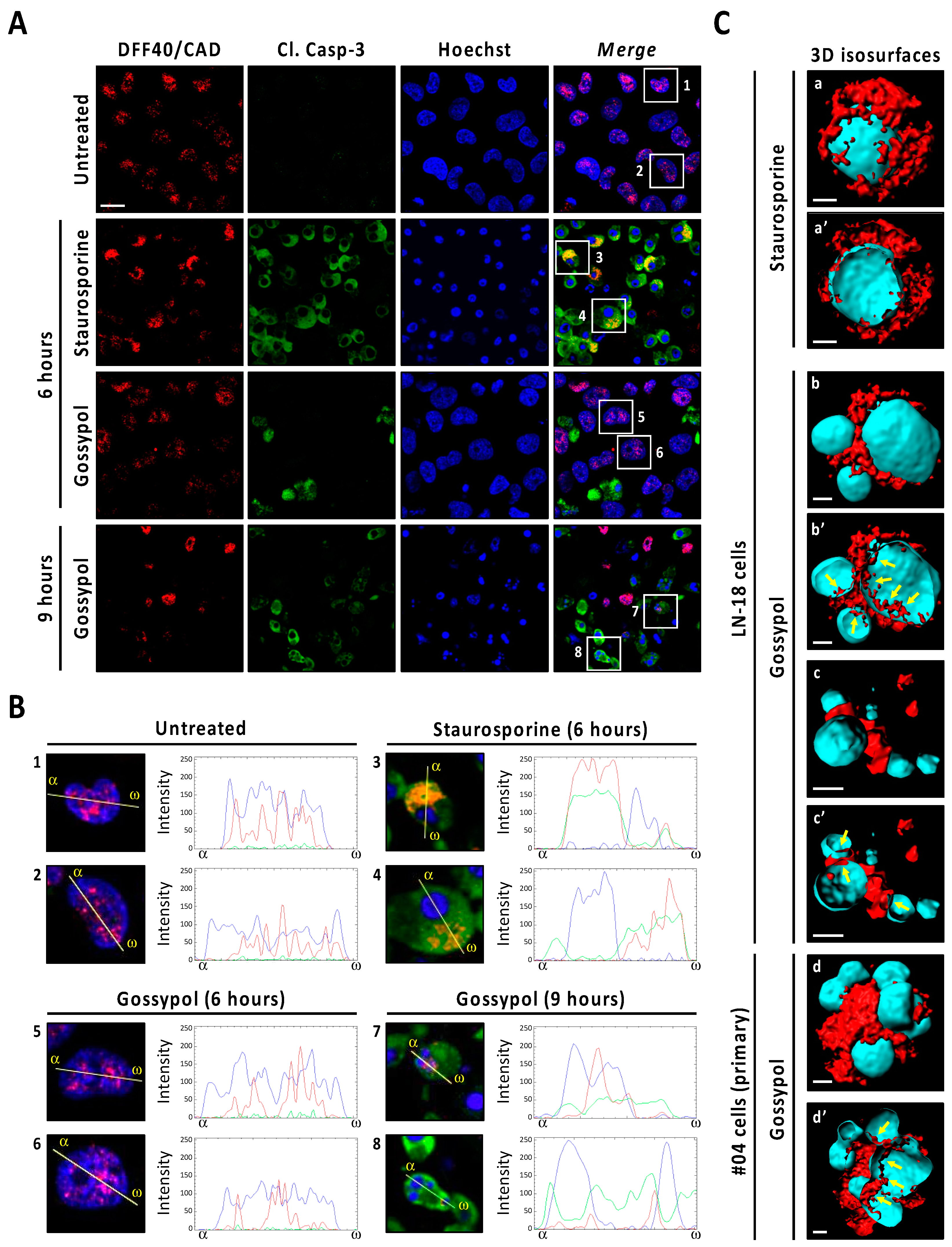 Cancers 13 05579 g006