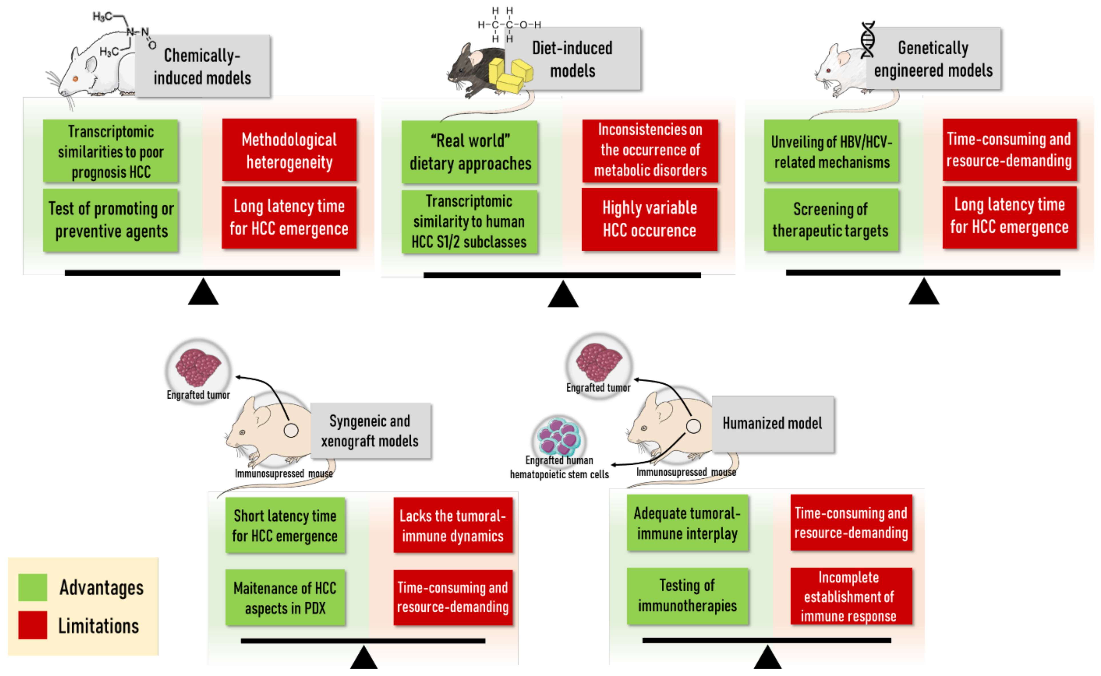 Cancers 13 05583 g005