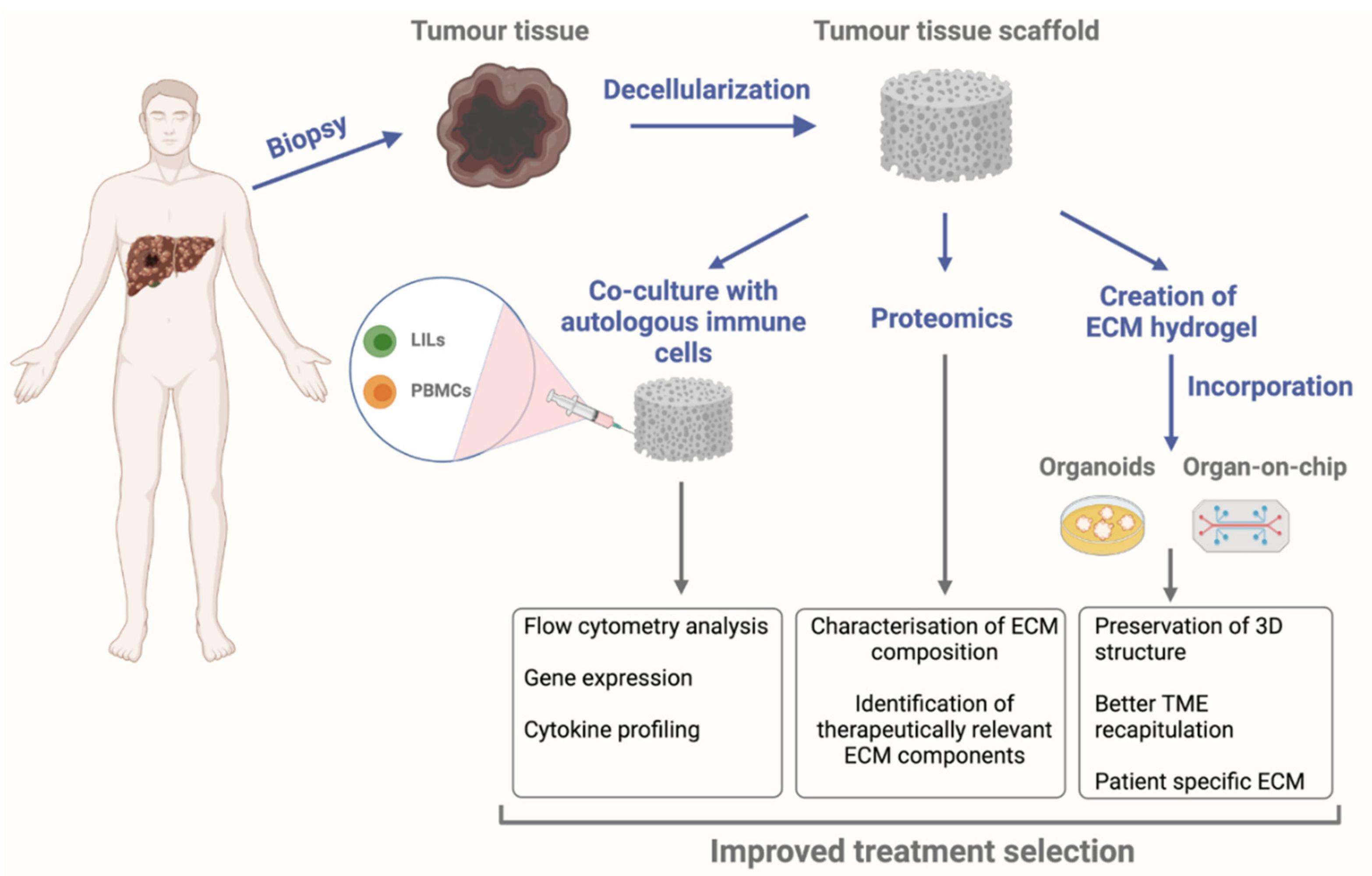 Cancers 13 05586 g002