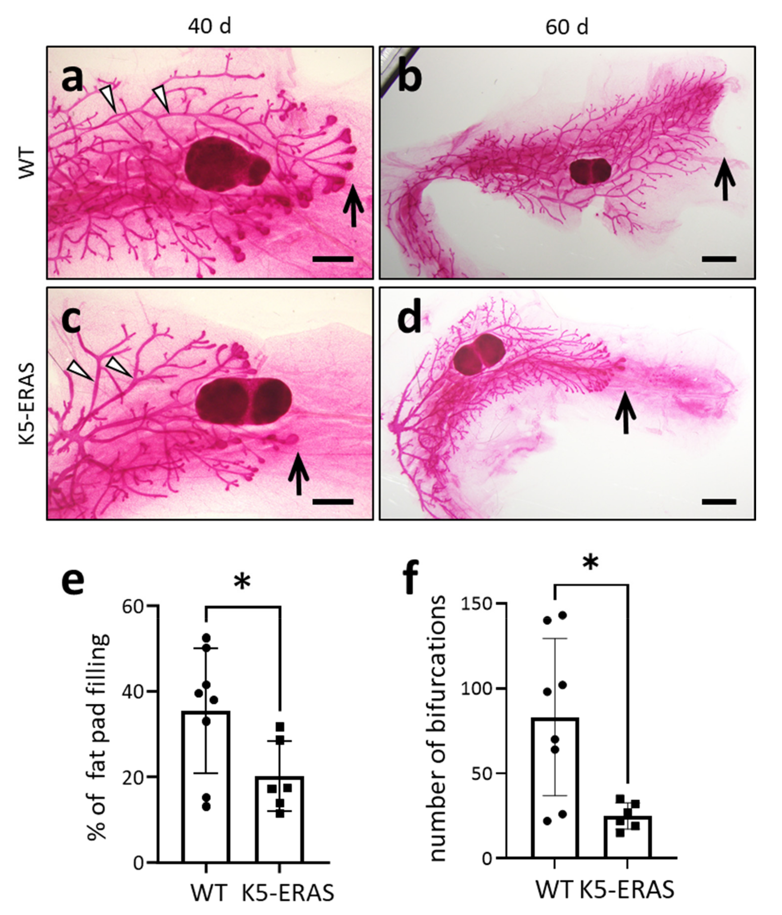 Cancers 13 05588 g004