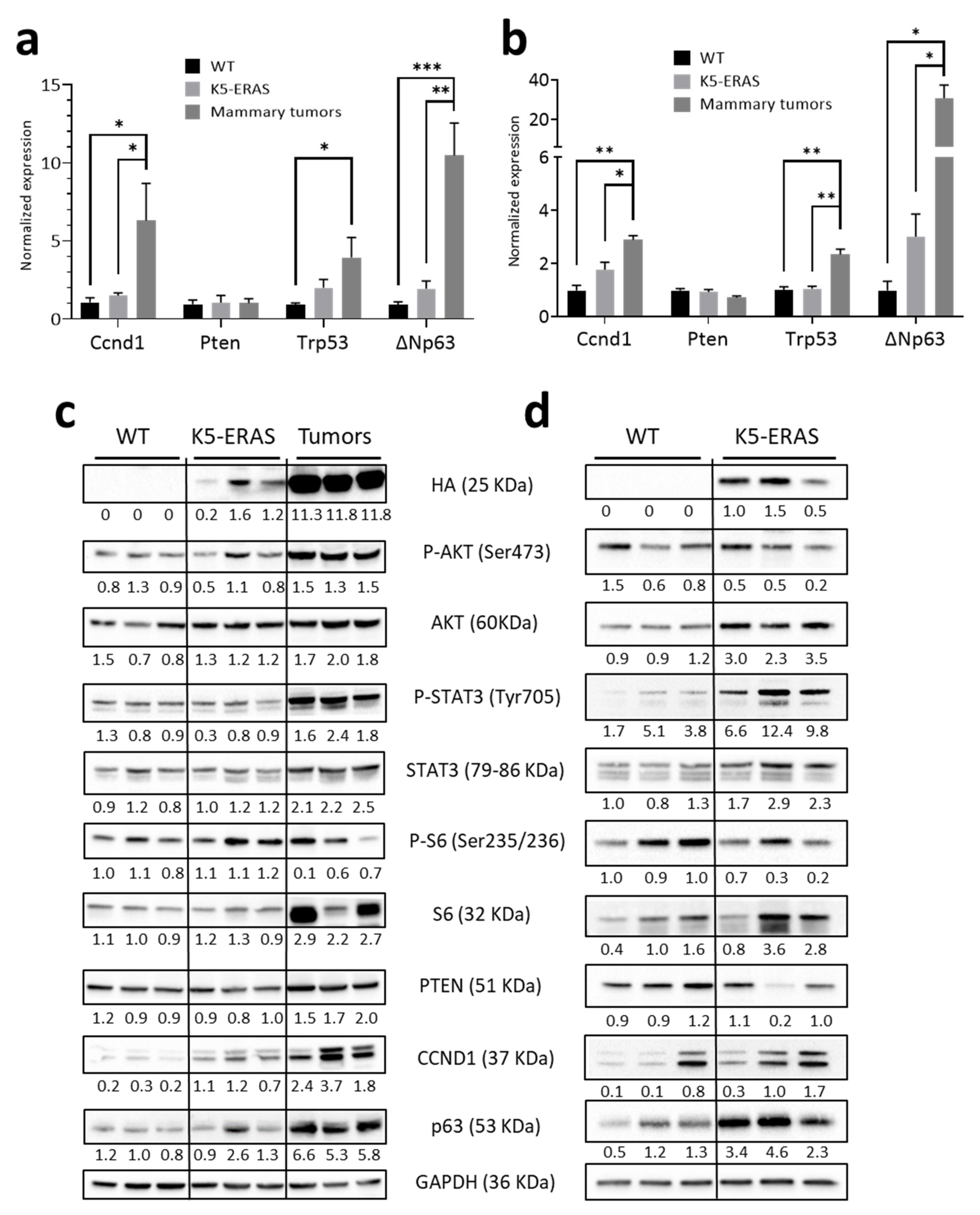 Cancers 13 05588 g009