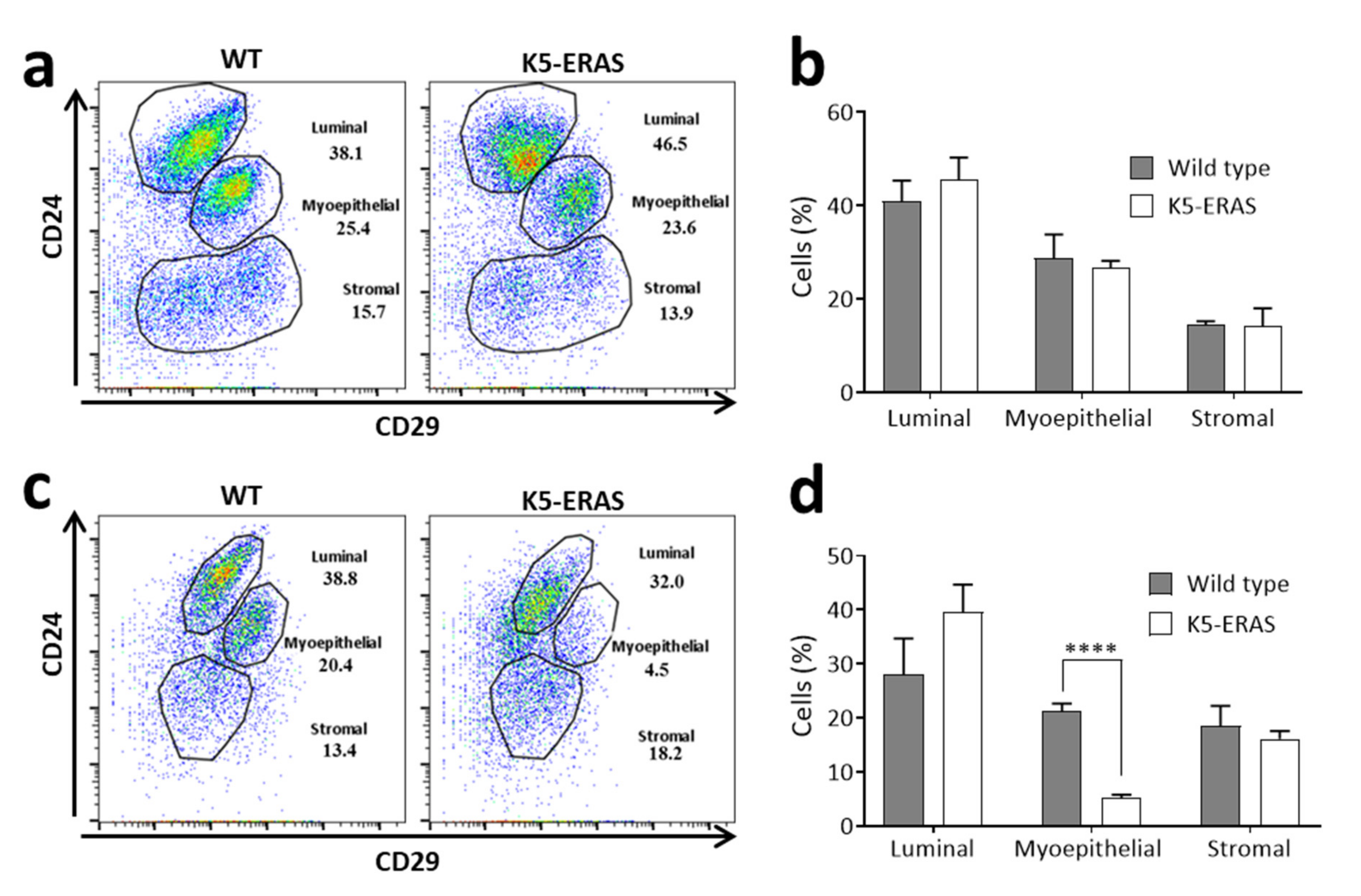 Cancers 13 05588 g010