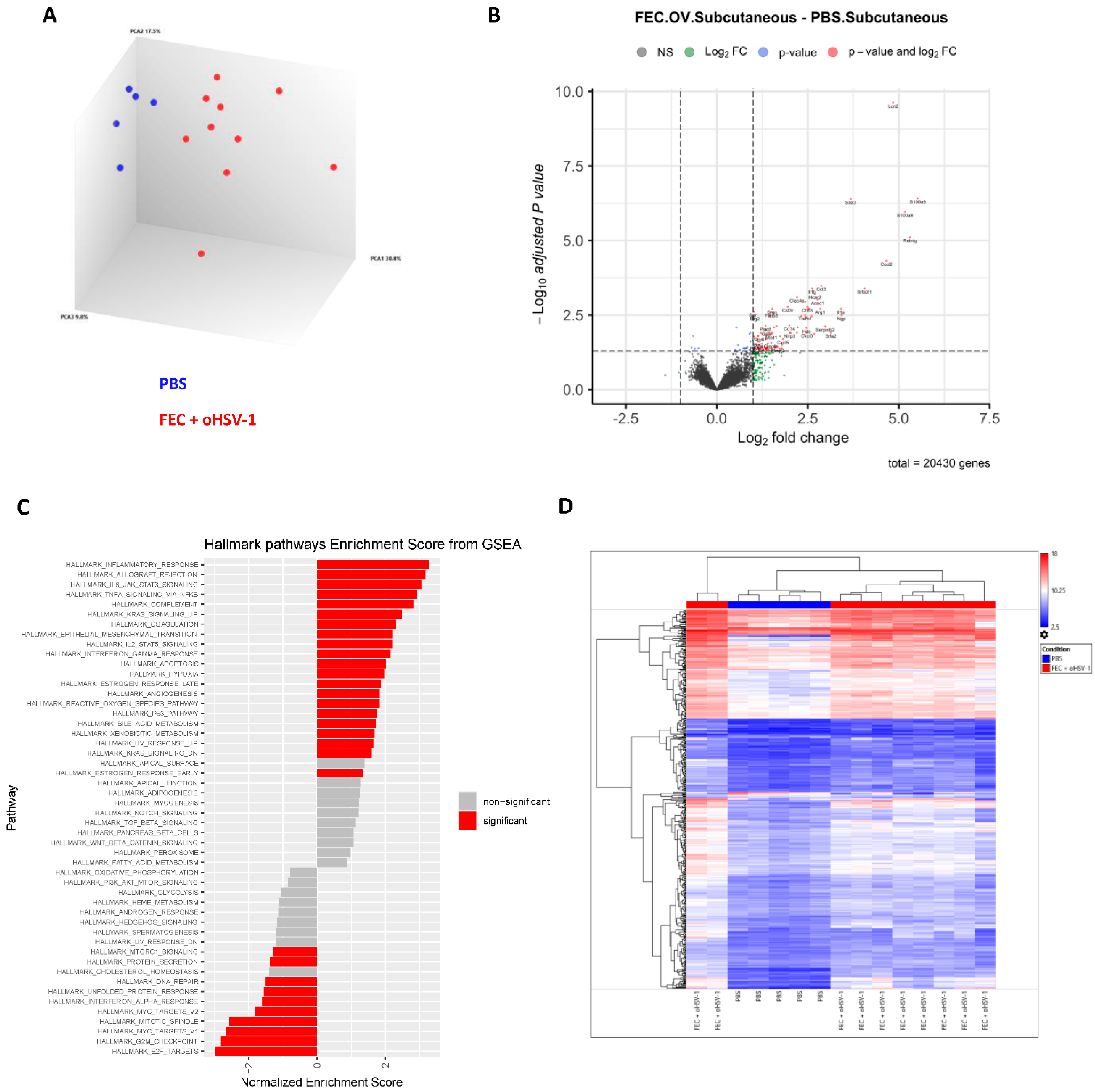 Cancers 13 05590 g002