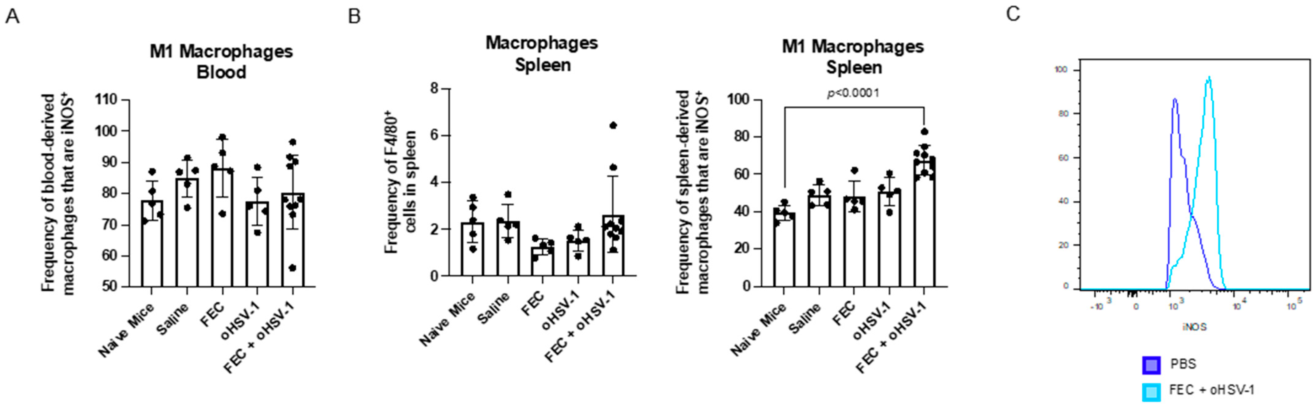 Cancers 13 05590 g005