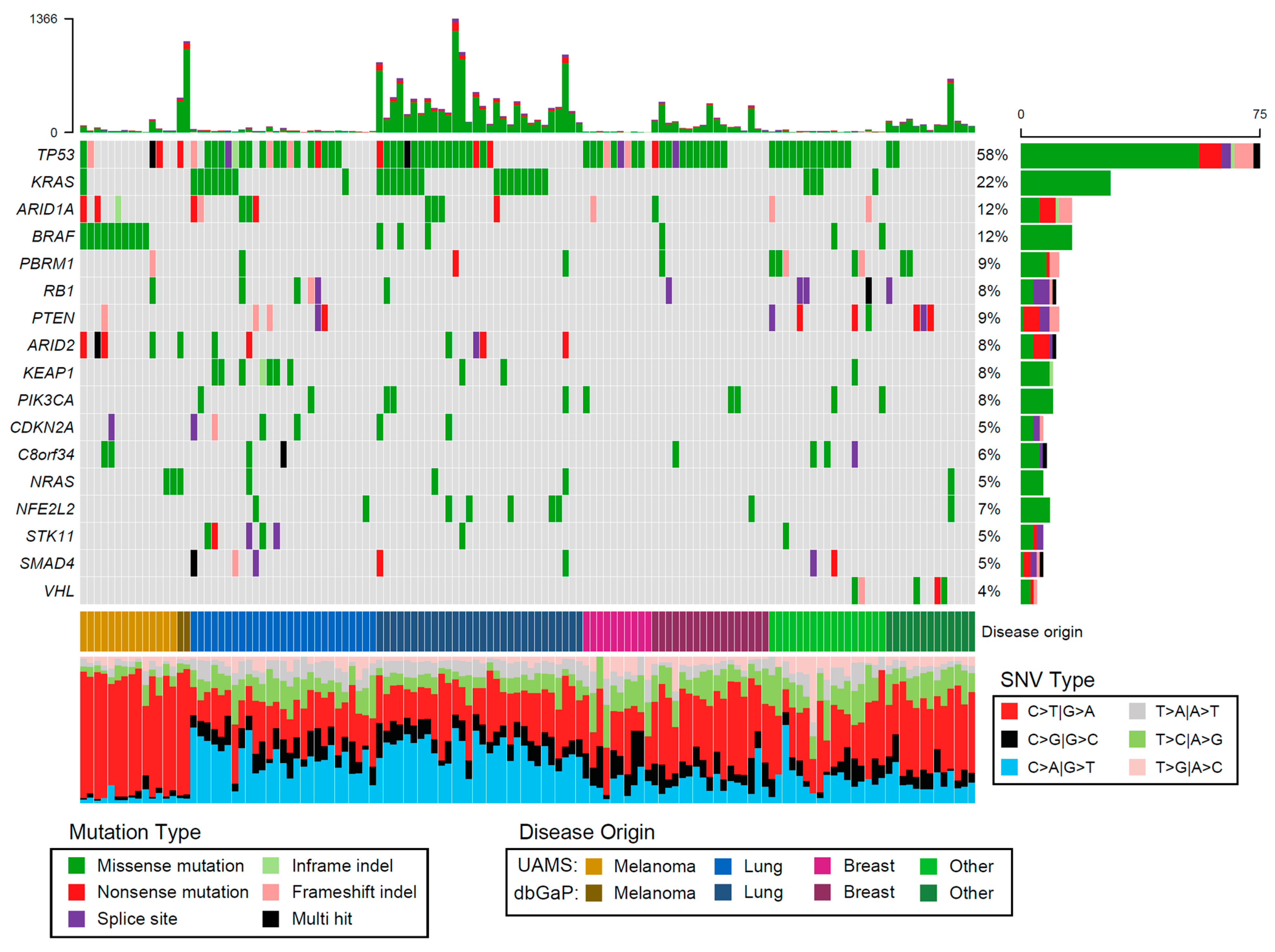 Cancers 13 05598 g001