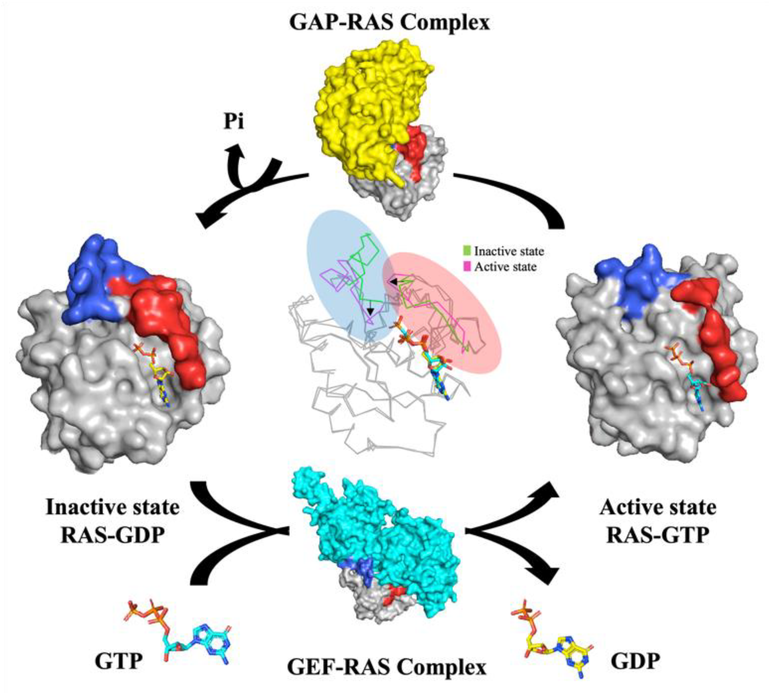 Cancers 13 05599 g002 Cancers 13 05599 g002